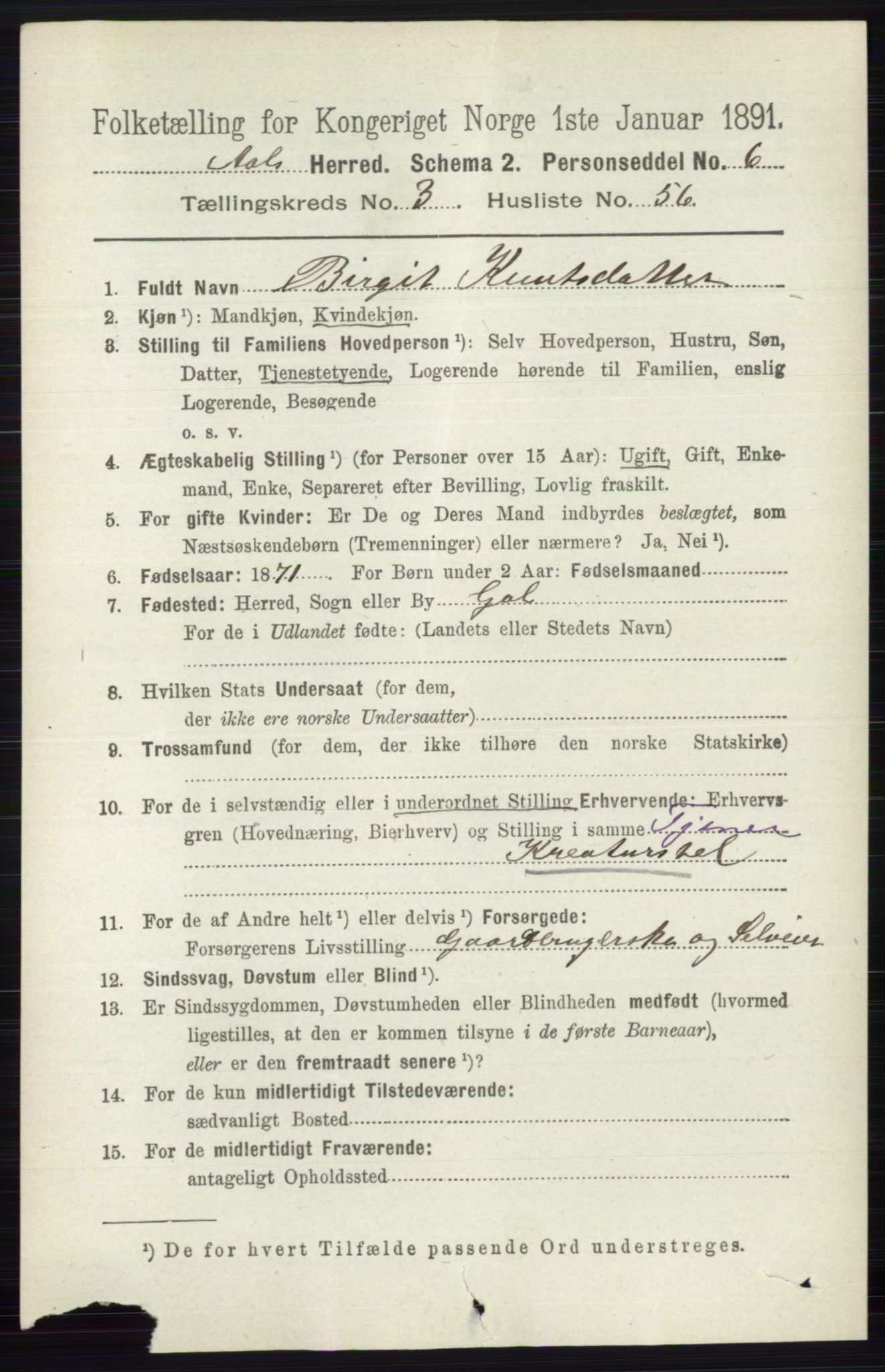 RA, 1891 census for 0619 Ål, 1891, p. 977