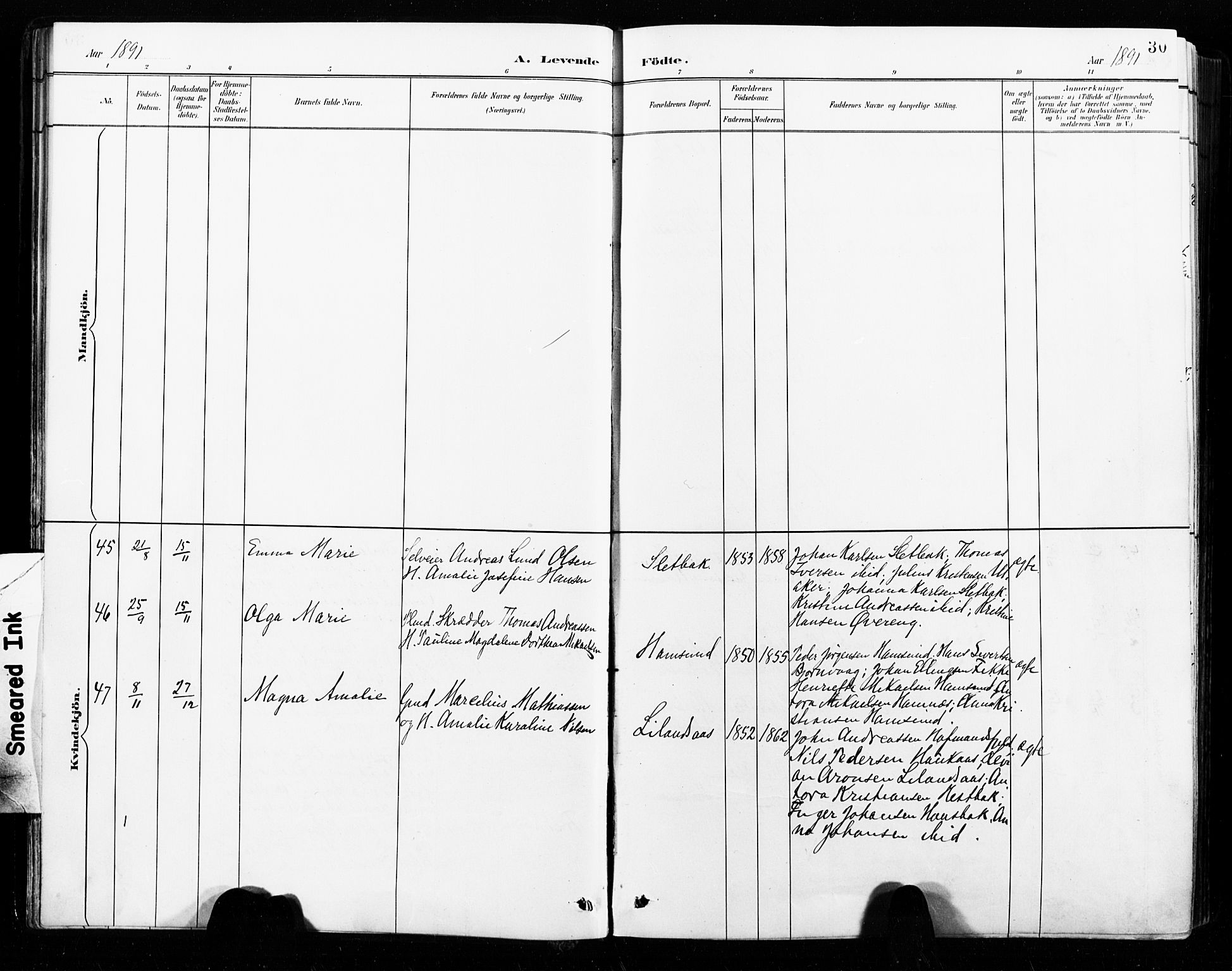 Ministerialprotokoller, klokkerbøker og fødselsregistre - Nordland, AV/SAT-A-1459/859/L0847: Parish register (official) no. 859A07, 1890-1899, p. 30