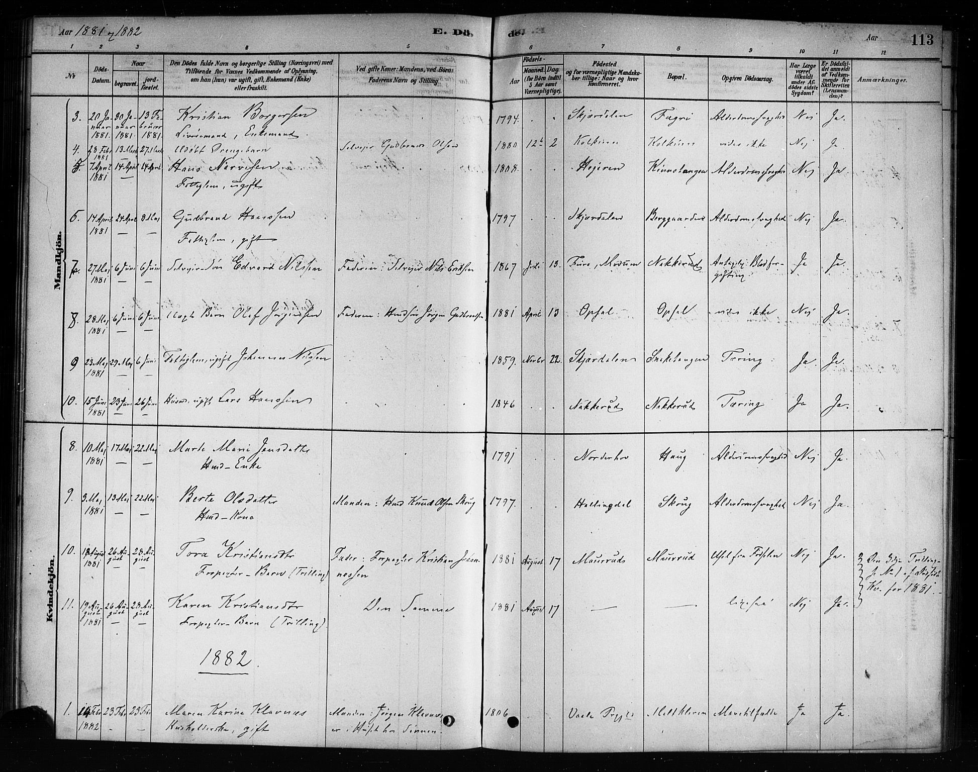 Hole kirkebøker, SAKO/A-228/F/Fb/L0001: Parish register (official) no. II 1, 1878-1891, p. 113