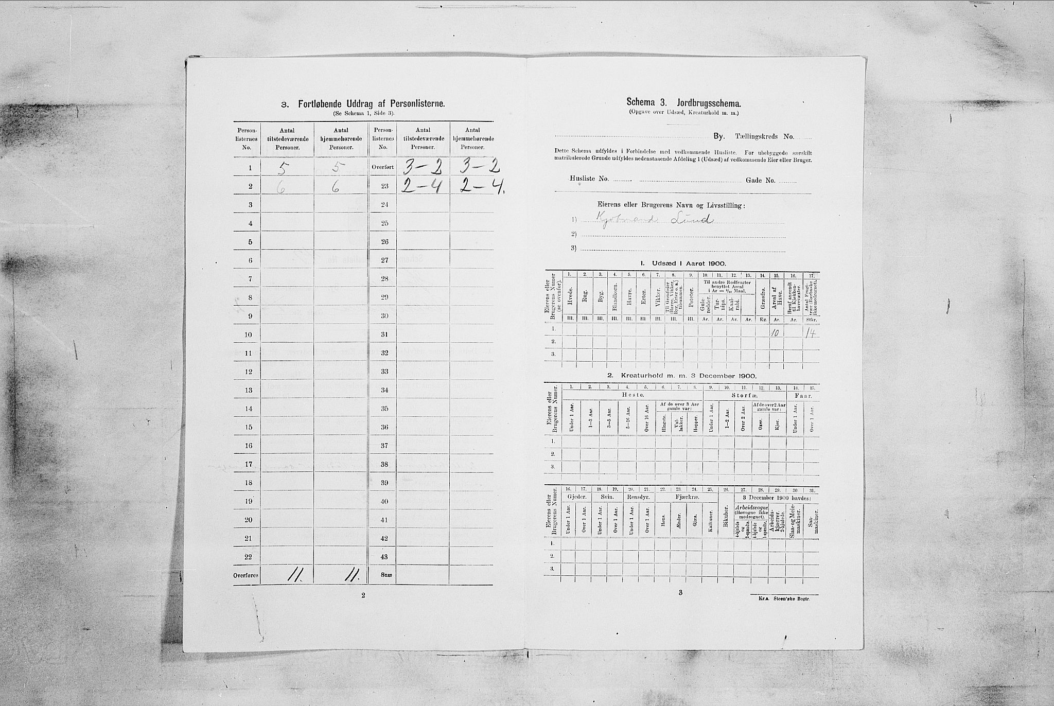 RA, 1900 census for Horten, 1900, p. 2847