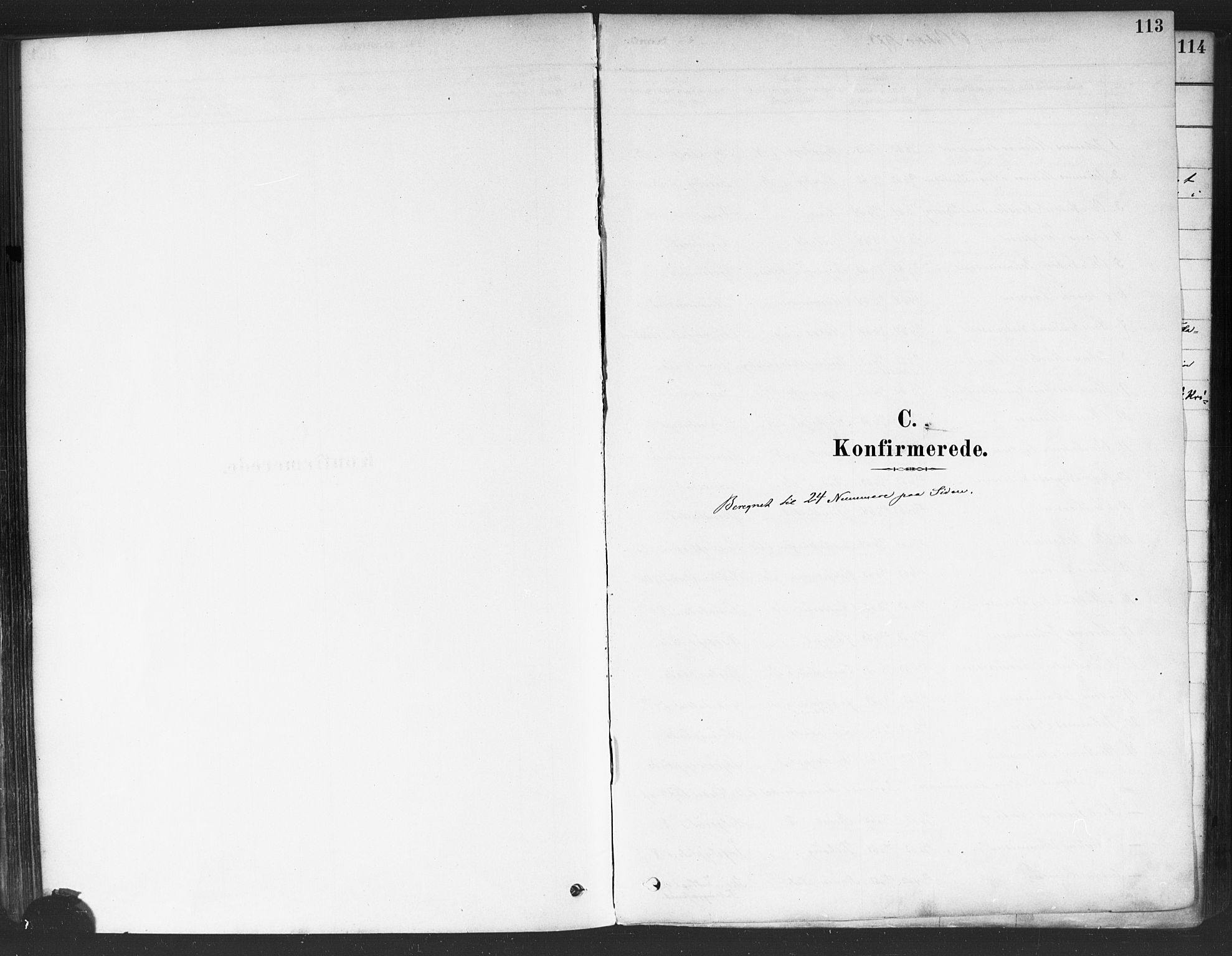 Rakkestad prestekontor Kirkebøker, SAO/A-2008/F/Fa/L0012: Parish register (official) no. I 12, 1878-1893, p. 113