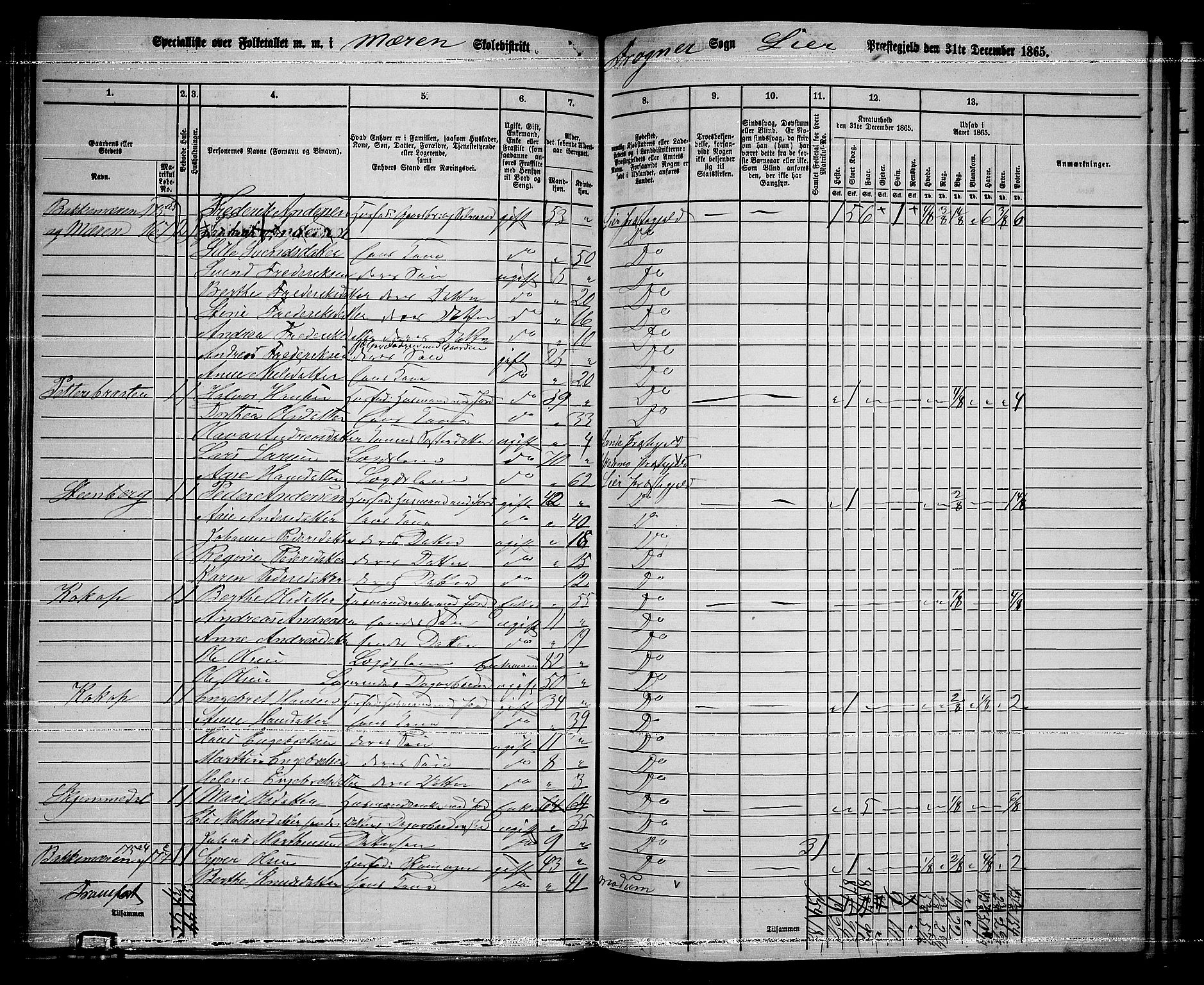 RA, 1865 census for Lier, 1865, p. 100