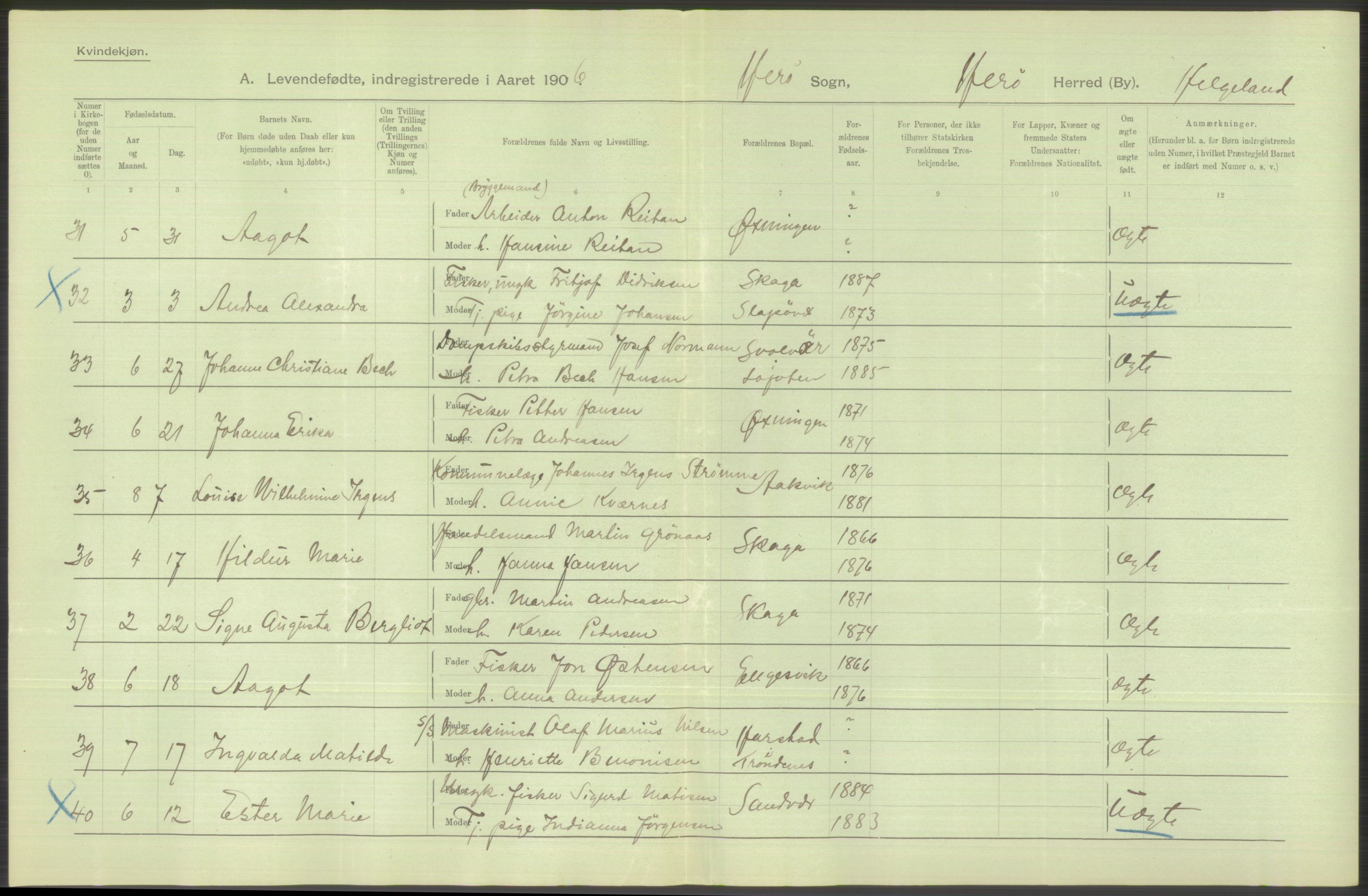 Statistisk sentralbyrå, Sosiodemografiske emner, Befolkning, AV/RA-S-2228/D/Df/Dfa/Dfad/L0043: Nordlands amt: Levendefødte menn og kvinner. Bygder., 1906, p. 8