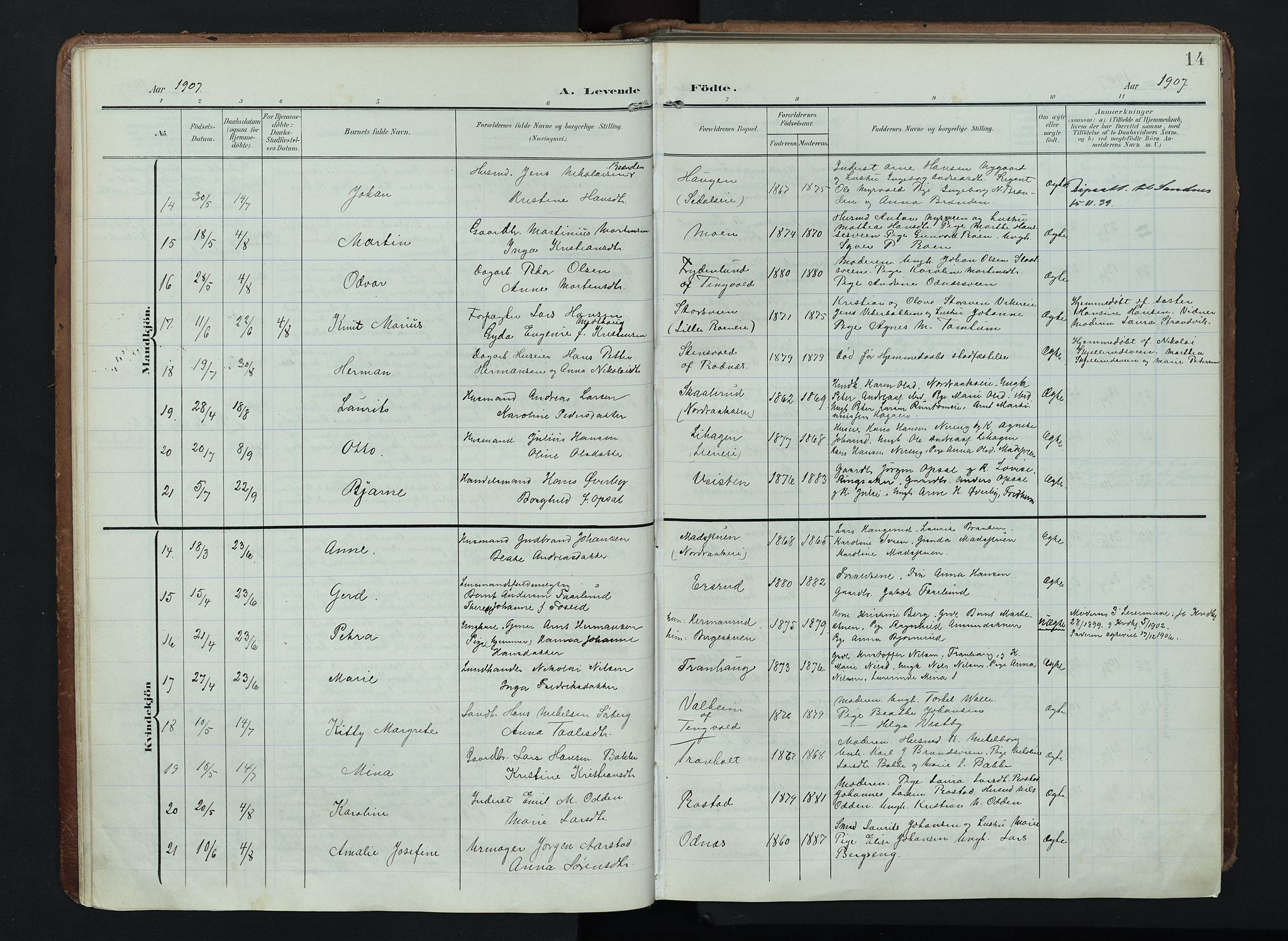 Søndre Land prestekontor, SAH/PREST-122/K/L0005: Parish register (official) no. 5, 1905-1914, p. 14