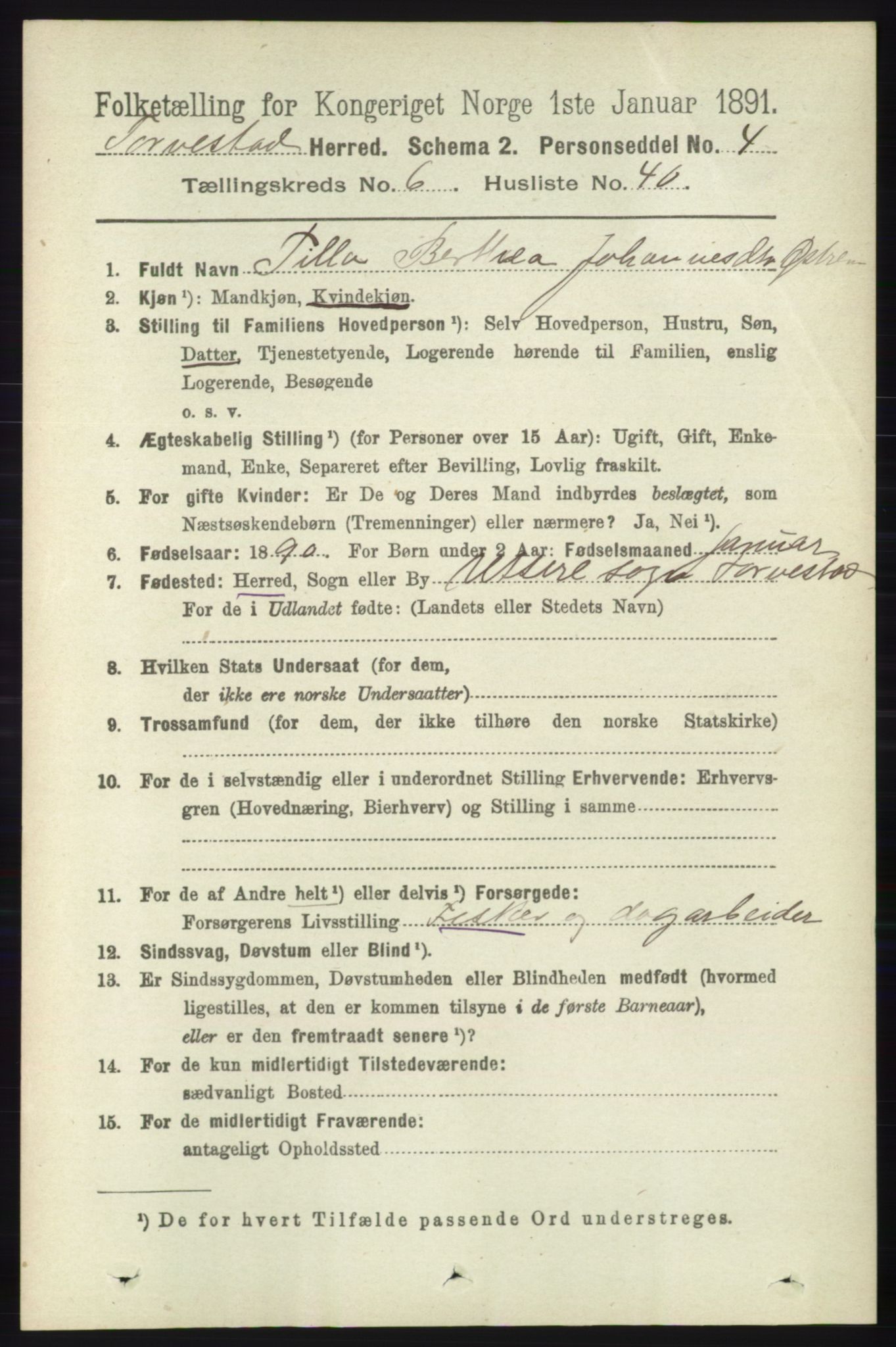 RA, 1891 census for 1152 Torvastad, 1891, p. 2179