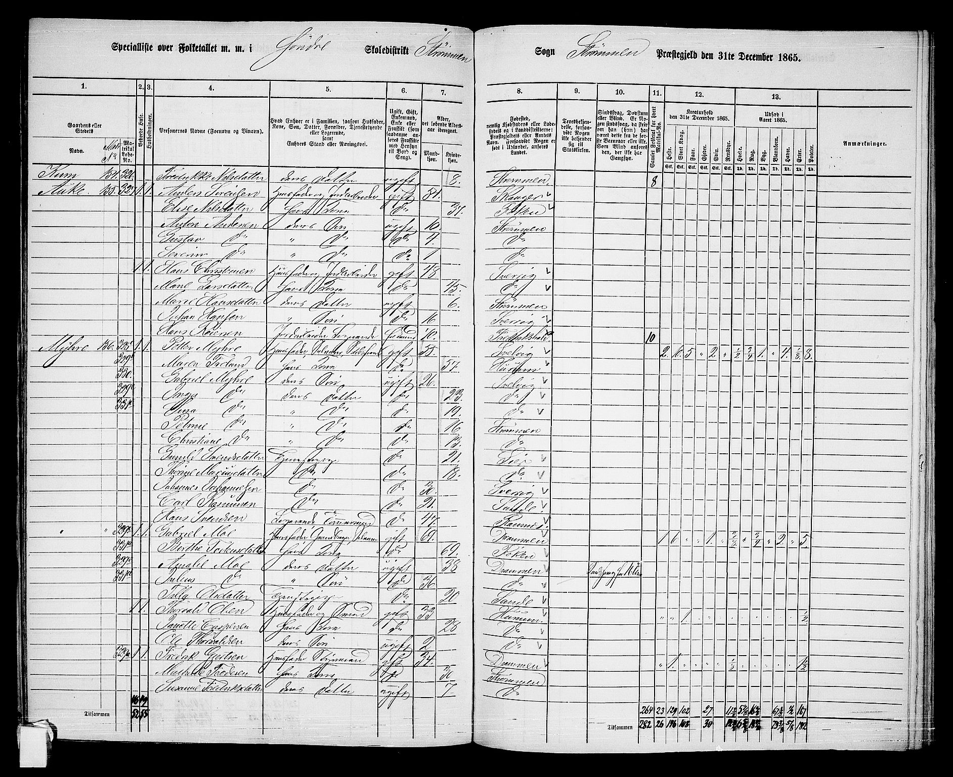 RA, 1865 census for Strømm, 1865, p. 13