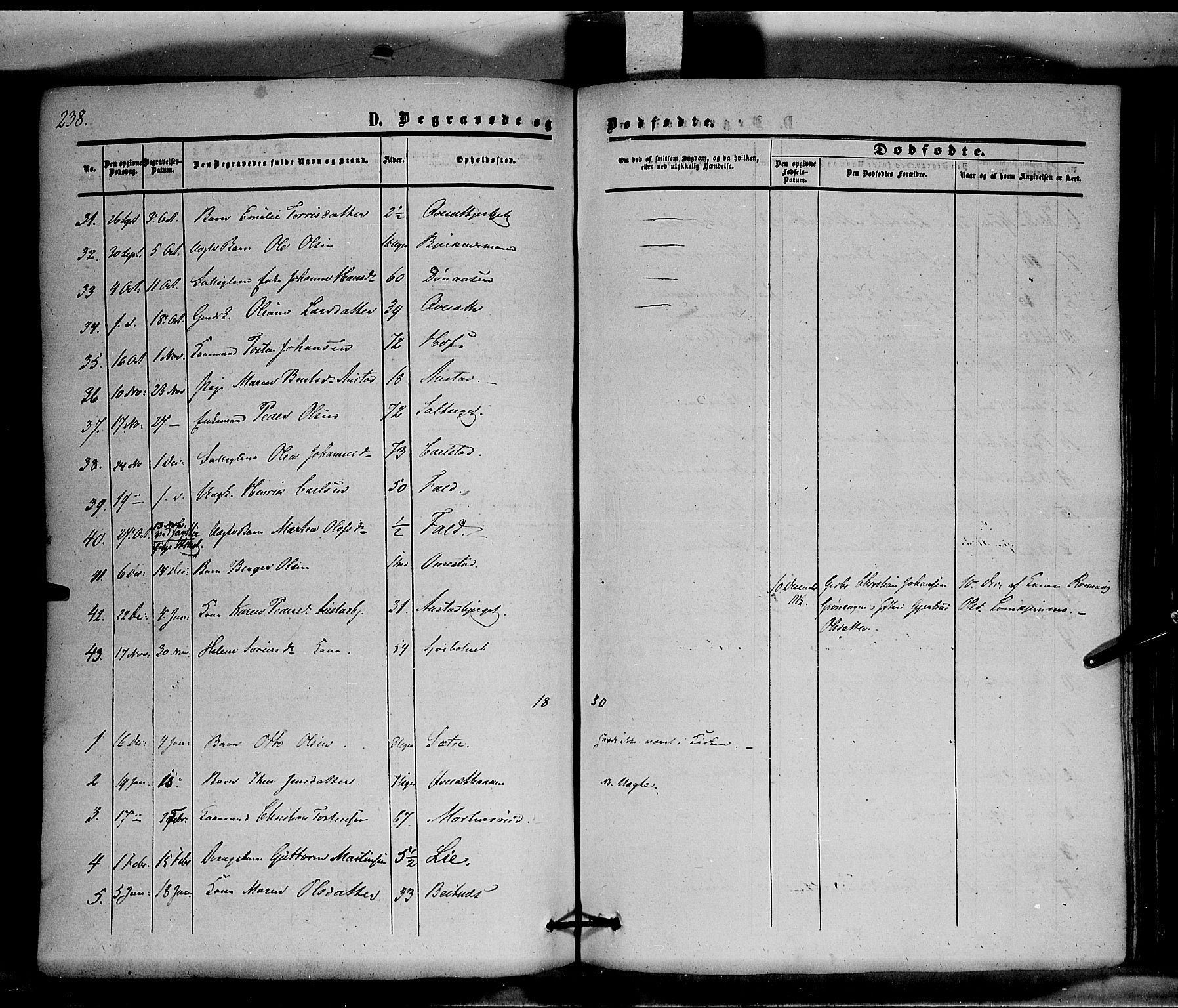 Hof prestekontor, SAH/PREST-038/H/Ha/Haa/L0008: Parish register (official) no. 8, 1849-1861, p. 238