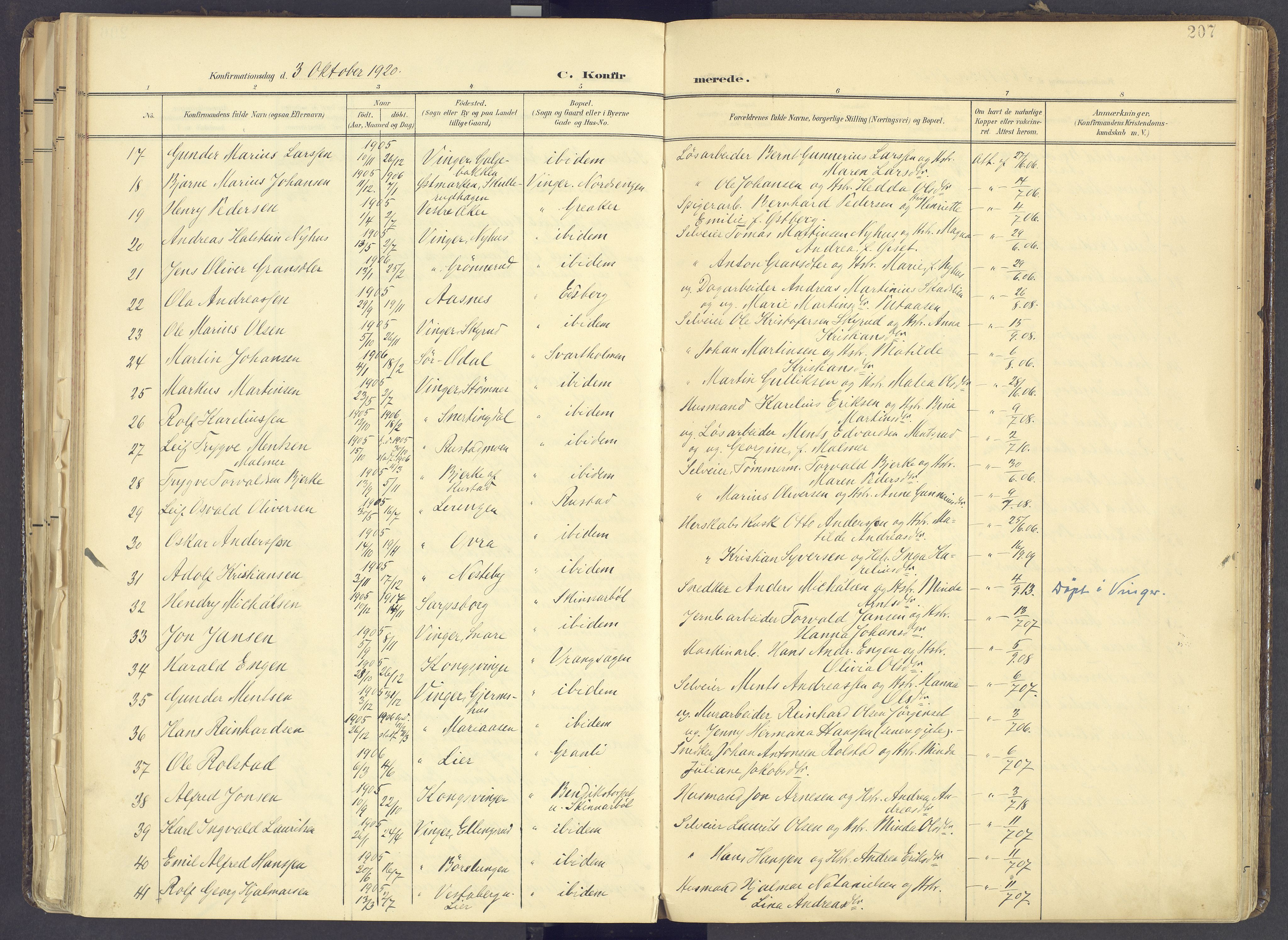 Vinger prestekontor, AV/SAH-PREST-024/H/Ha/Haa/L0017: Parish register (official) no. 17, 1901-1927, p. 207