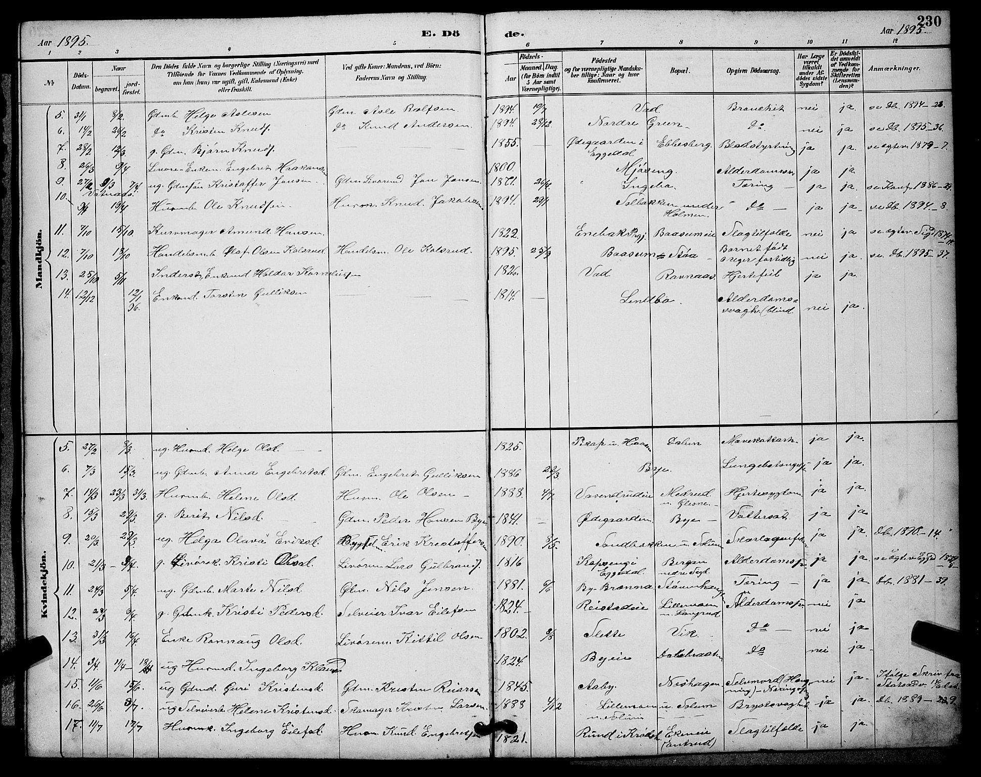 Sigdal kirkebøker, SAKO/A-245/G/Ga/L0005: Parish register (copy) no. I 5, 1886-1900, p. 230