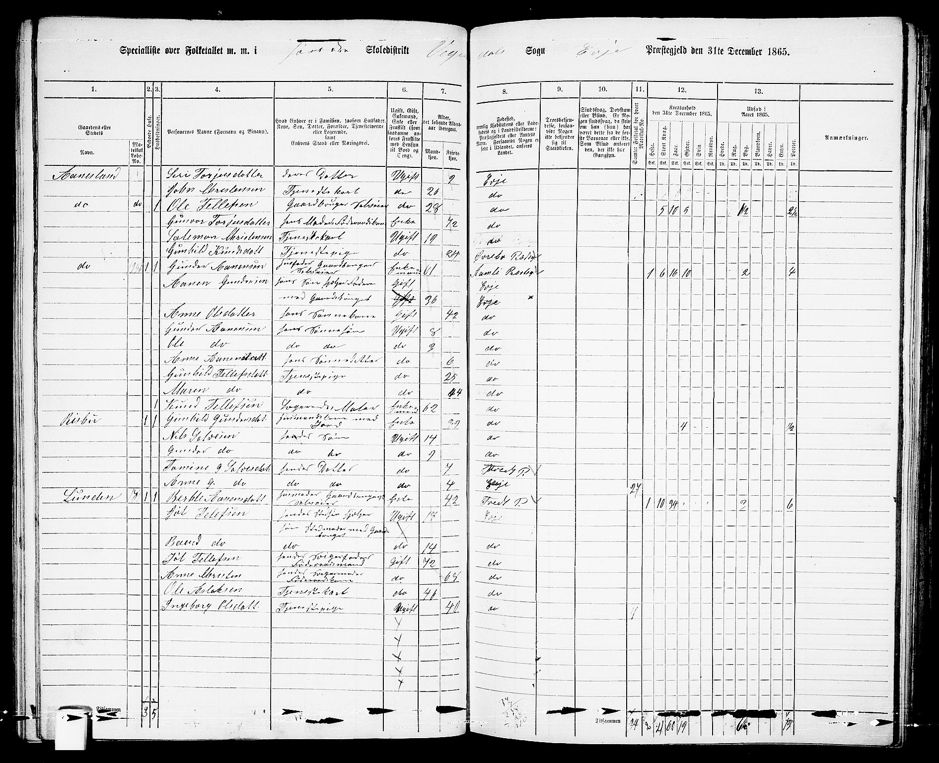 RA, 1865 census for Evje, 1865, p. 81