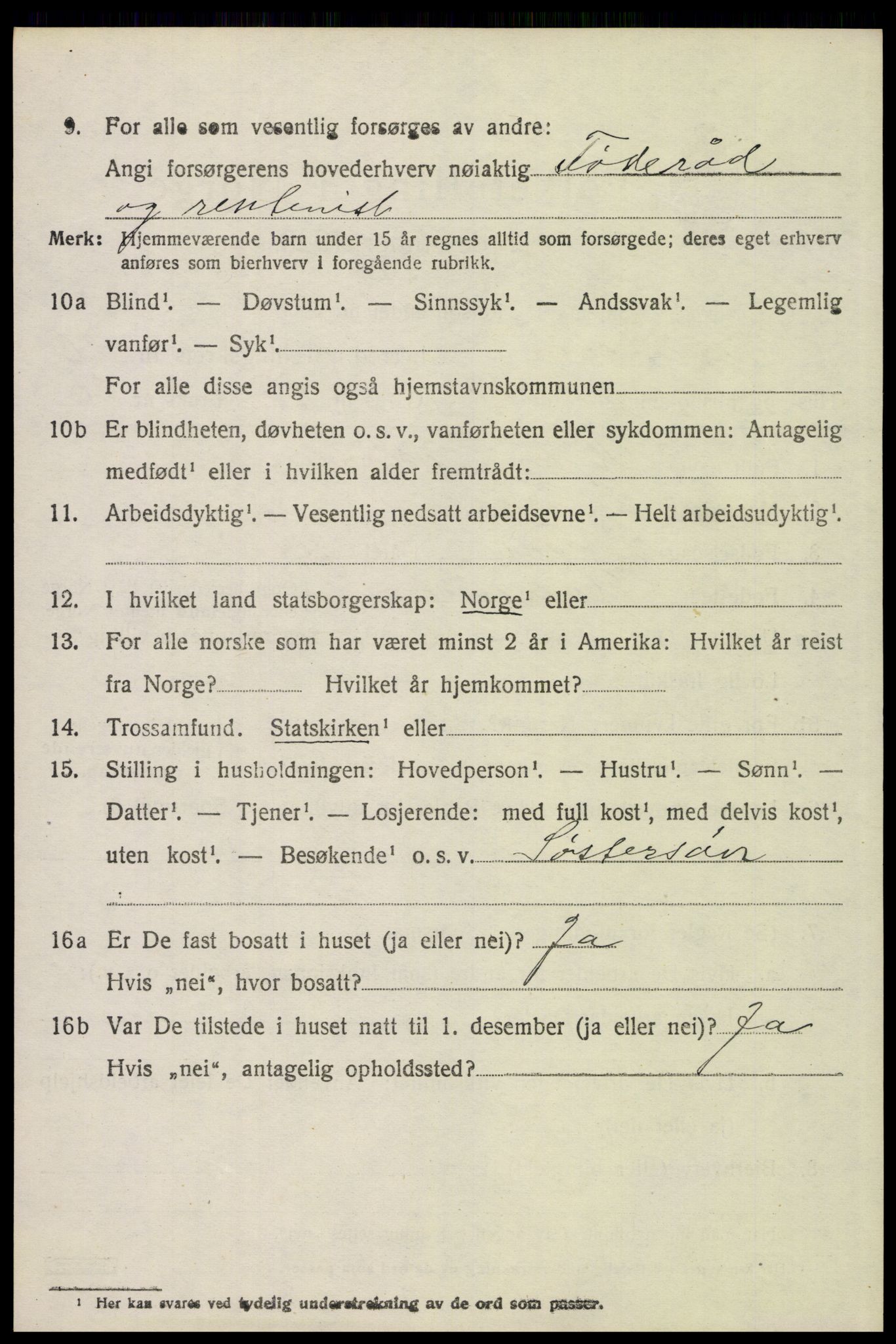 SAH, 1920 census for Elverum, 1920, p. 26997