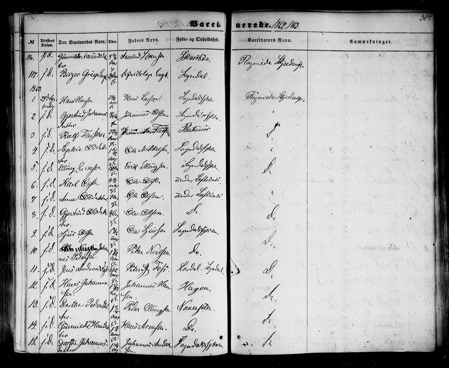 Sogndal sokneprestembete, SAB/A-81301/H/Haa/Haaa/L0013: Parish register (official) no. A 13, 1859-1877, p. 384