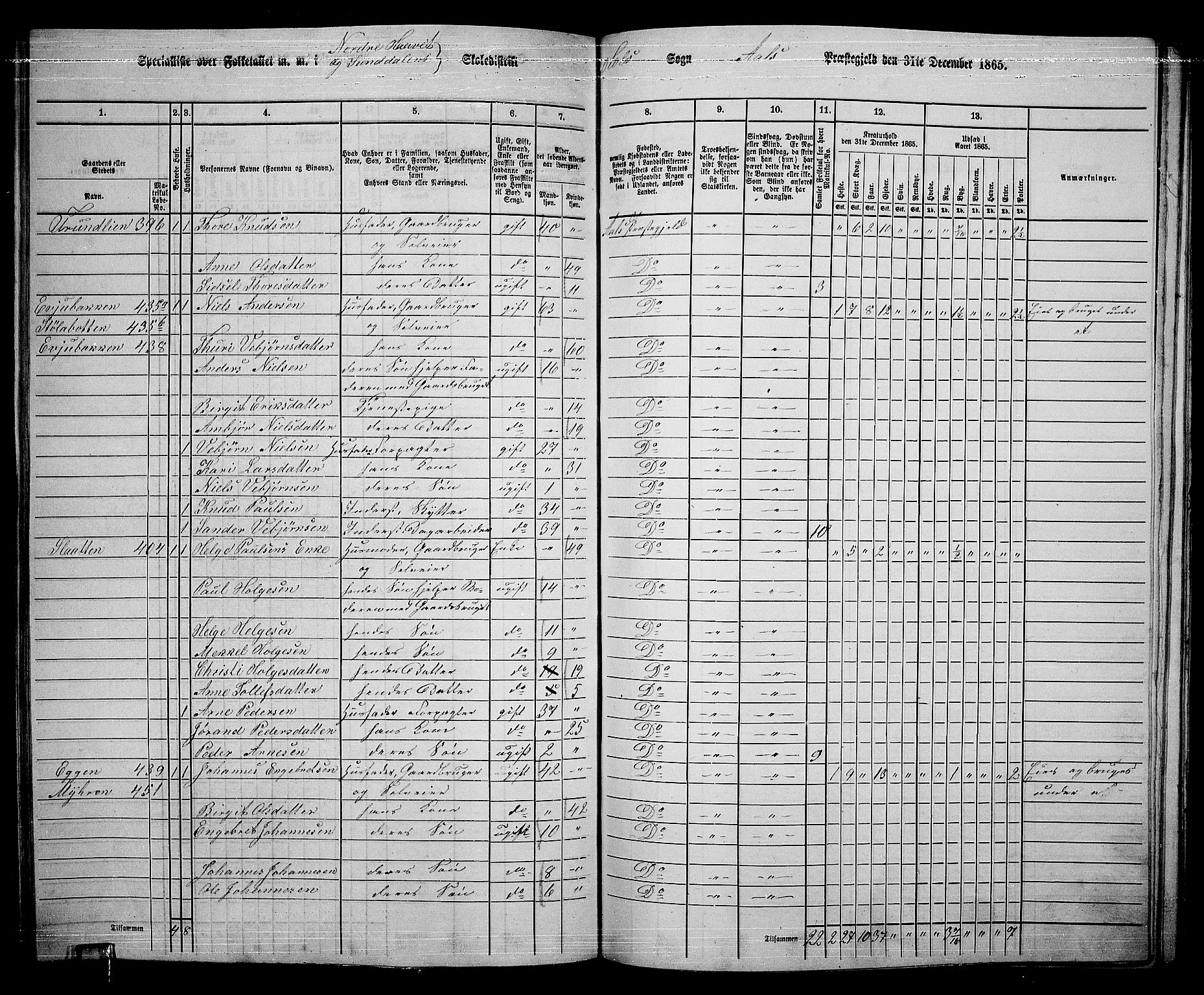 RA, 1865 census for Ål, 1865, p. 215