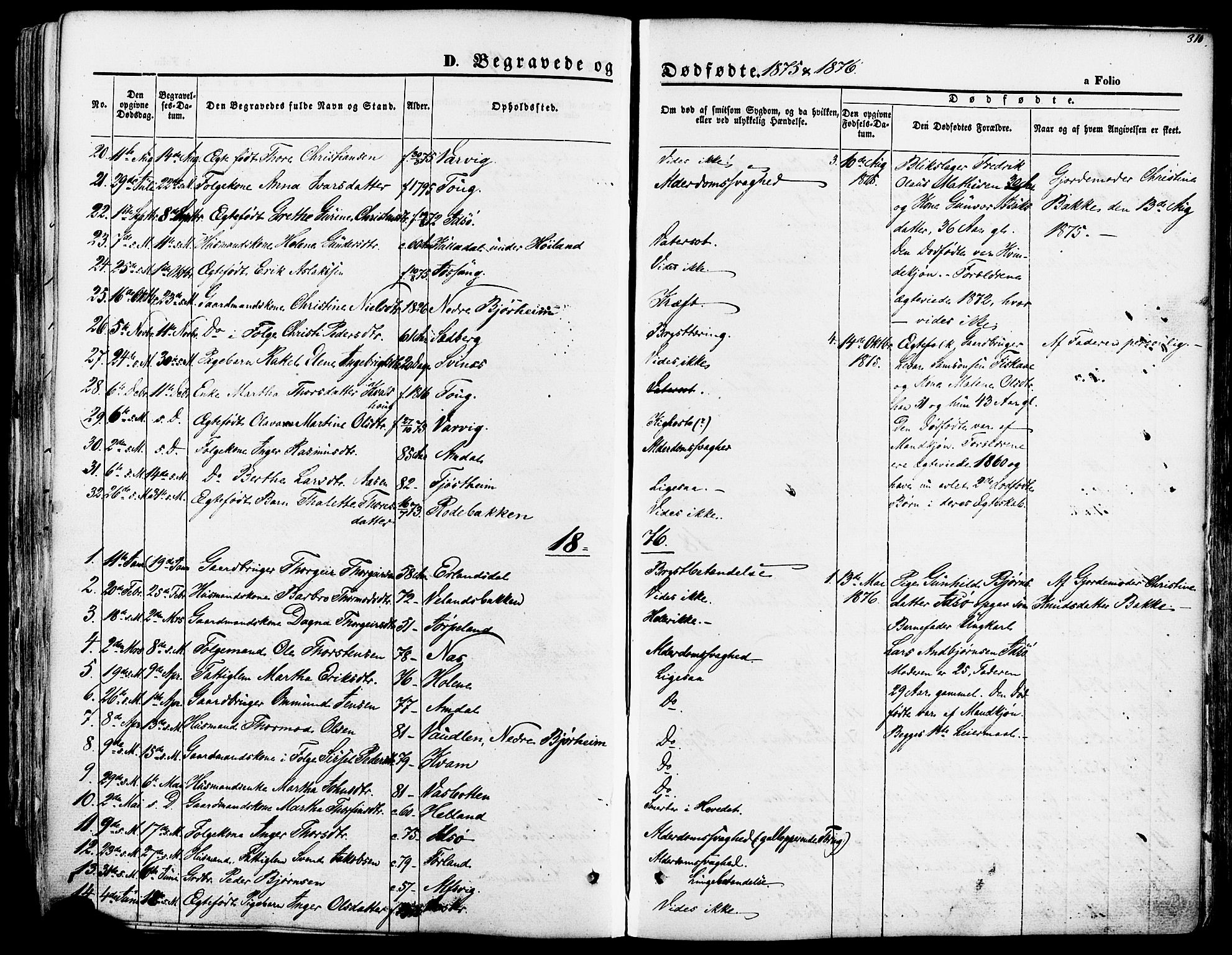 Strand sokneprestkontor, SAST/A-101828/H/Ha/Haa/L0007: Parish register (official) no. A 7, 1855-1881, p. 310