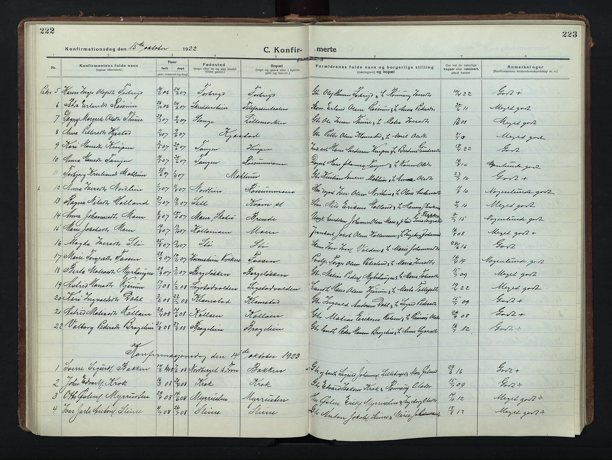 Nord-Fron prestekontor, AV/SAH-PREST-080/H/Ha/Hab/L0008: Parish register (copy) no. 8, 1915-1948, p. 222-223
