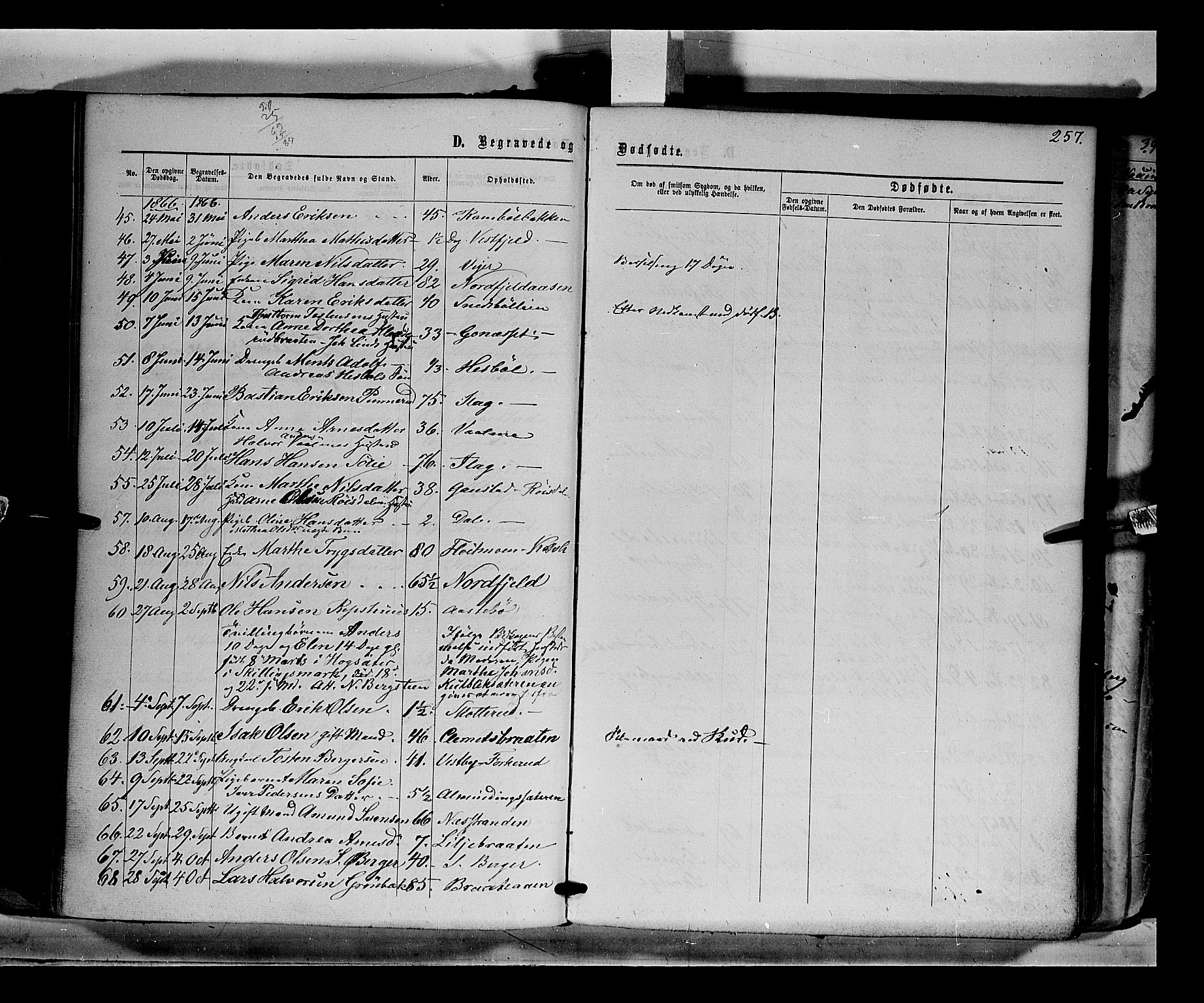 Eidskog prestekontor, AV/SAH-PREST-026/H/Ha/Haa/L0001: Parish register (official) no. 1, 1860-1867, p. 257