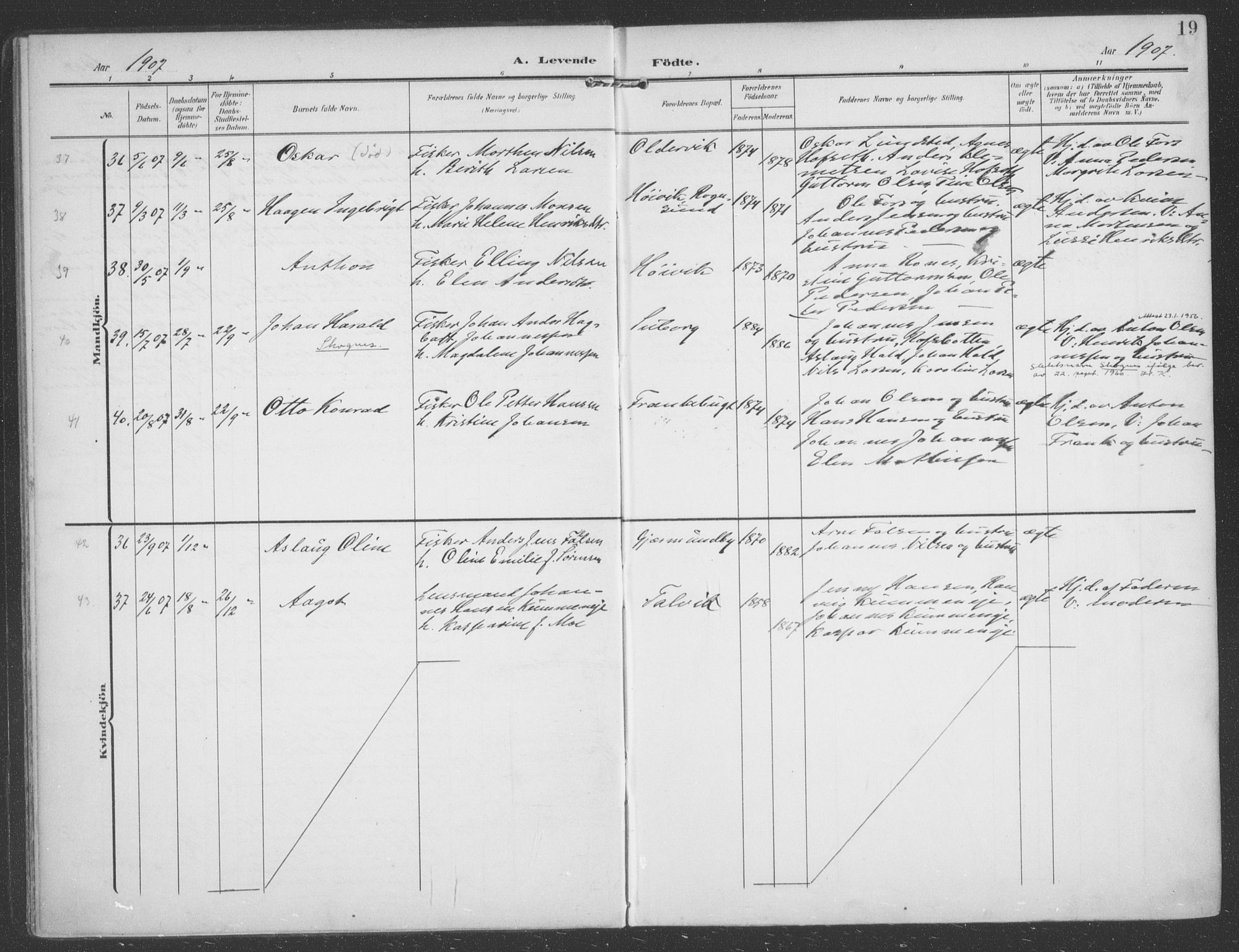 Talvik sokneprestkontor, AV/SATØ-S-1337/H/Ha/L0017kirke: Parish register (official) no. 17, 1906-1915, p. 19