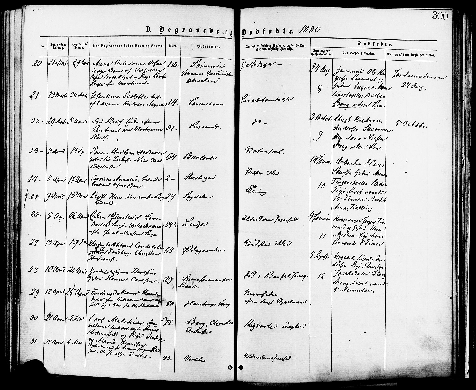 Skedsmo prestekontor Kirkebøker, SAO/A-10033a/F/Fa/L0012: Parish register (official) no. I 12, 1876-1883, p. 300