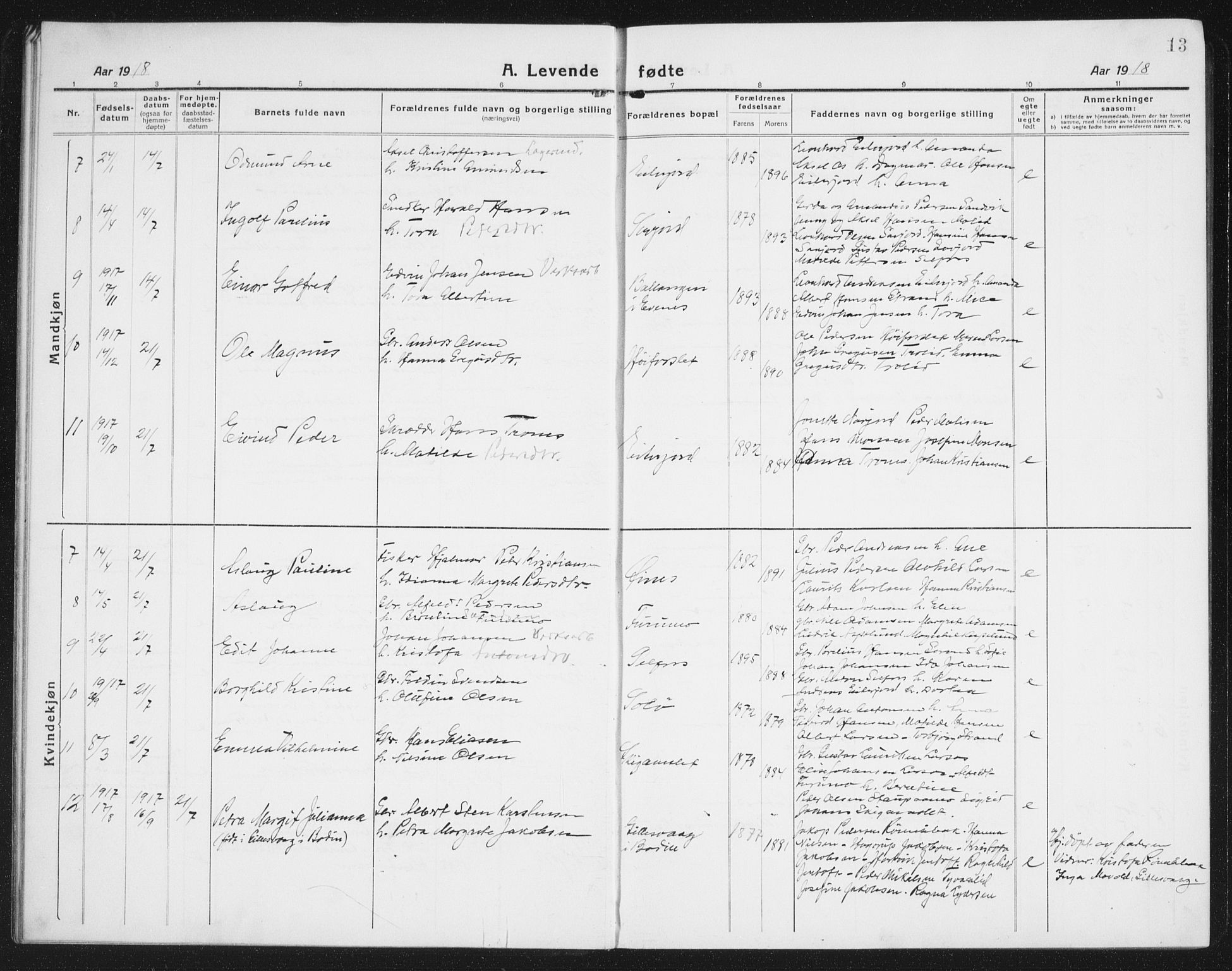 Ministerialprotokoller, klokkerbøker og fødselsregistre - Nordland, AV/SAT-A-1459/846/L0656: Parish register (copy) no. 846C06, 1917-1936, p. 13