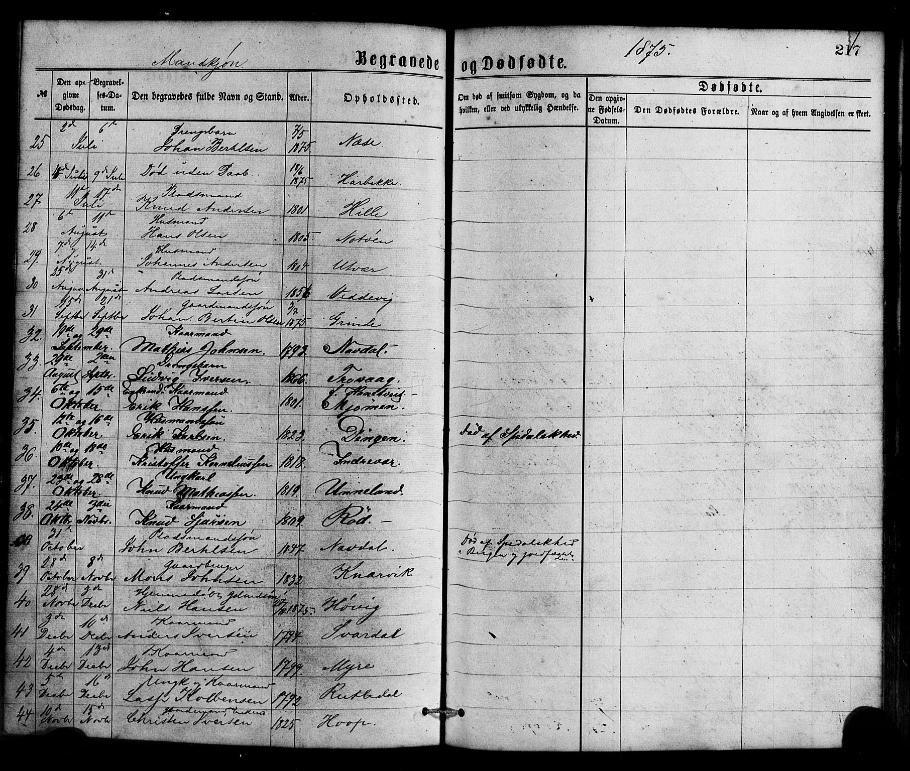 Gulen sokneprestembete, SAB/A-80201/H/Haa/Haaa/L0023: Parish register (official) no. A 23, 1870-1880, p. 217