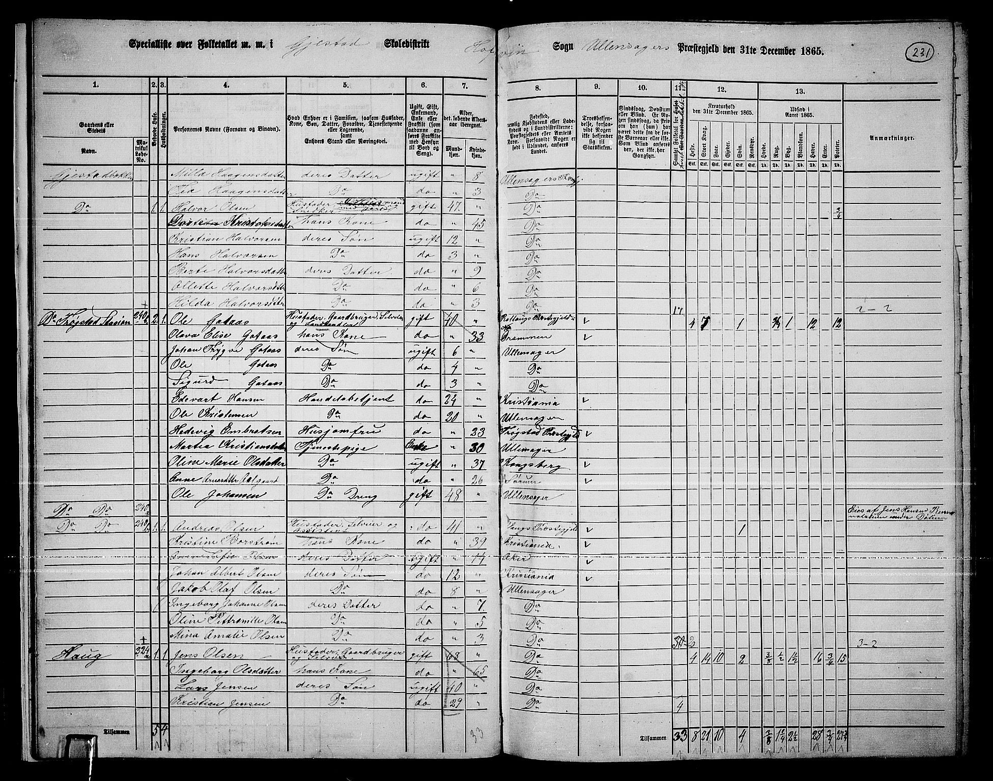 RA, 1865 census for Ullensaker, 1865, p. 206