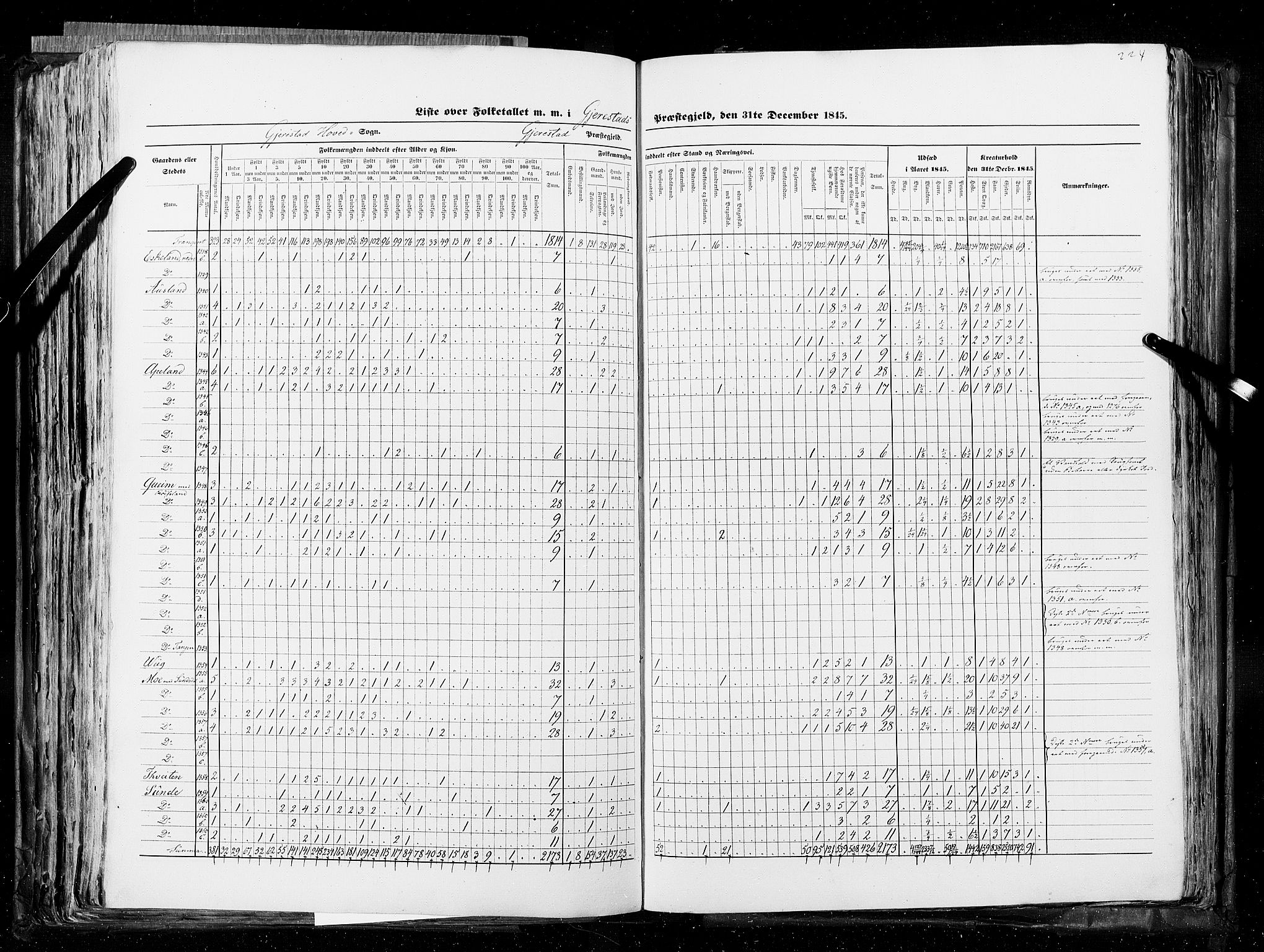 RA, Census 1845, vol. 5: Bratsberg amt og Nedenes og Råbyggelaget amt, 1845, p. 224