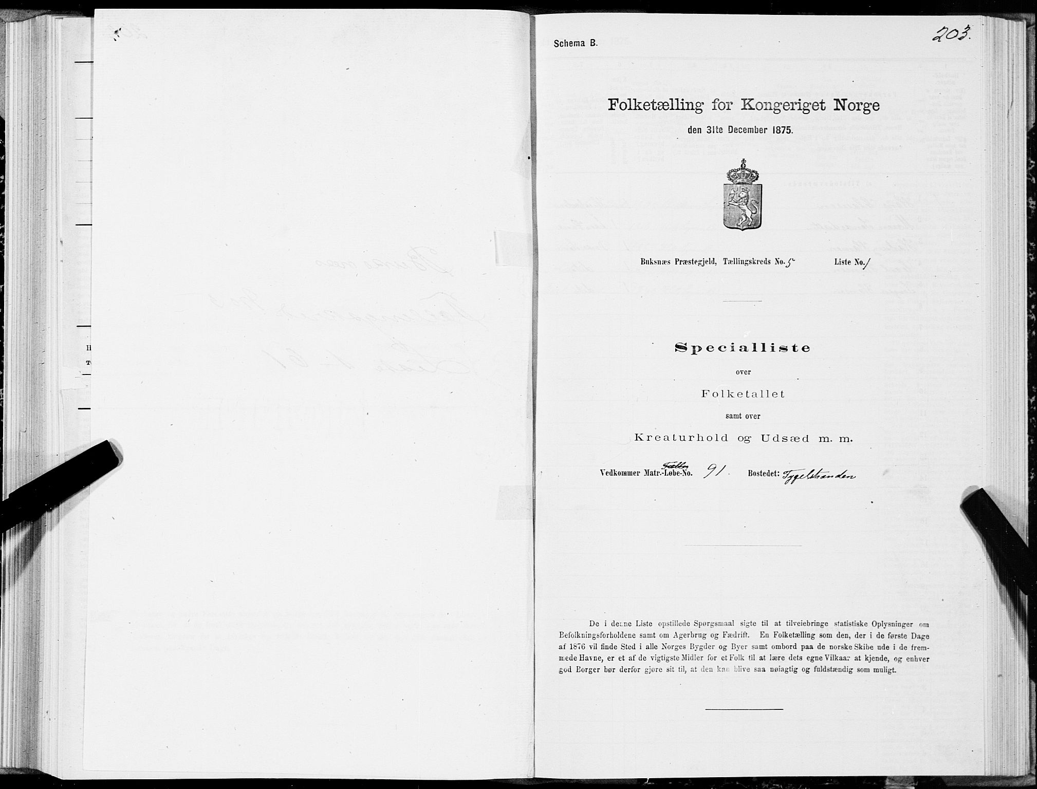 SAT, 1875 census for 1860P Buksnes, 1875, p. 2203