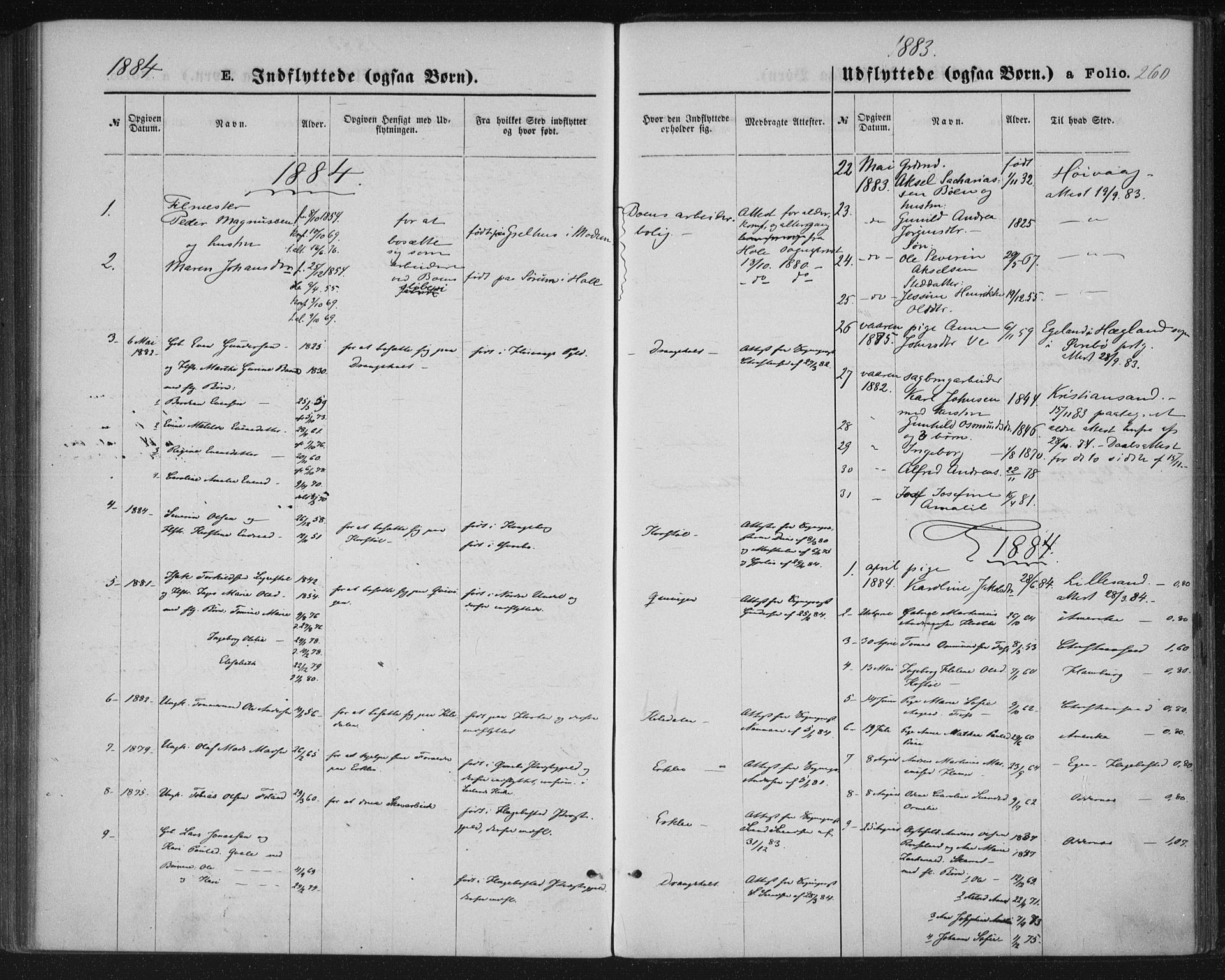 Tveit sokneprestkontor, SAK/1111-0043/F/Fa/L0006: Parish register (official) no. A 6, 1872-1886, p. 260