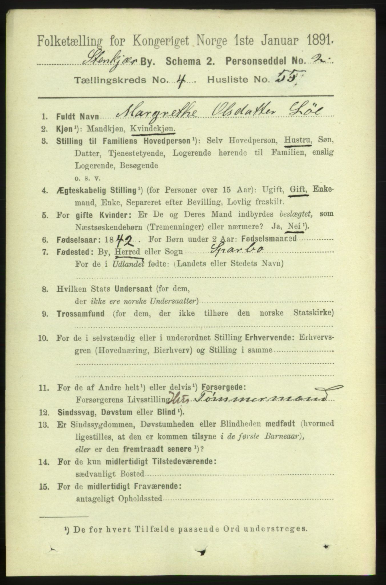 RA, 1891 census for 1702 Steinkjer, 1891, p. 1713