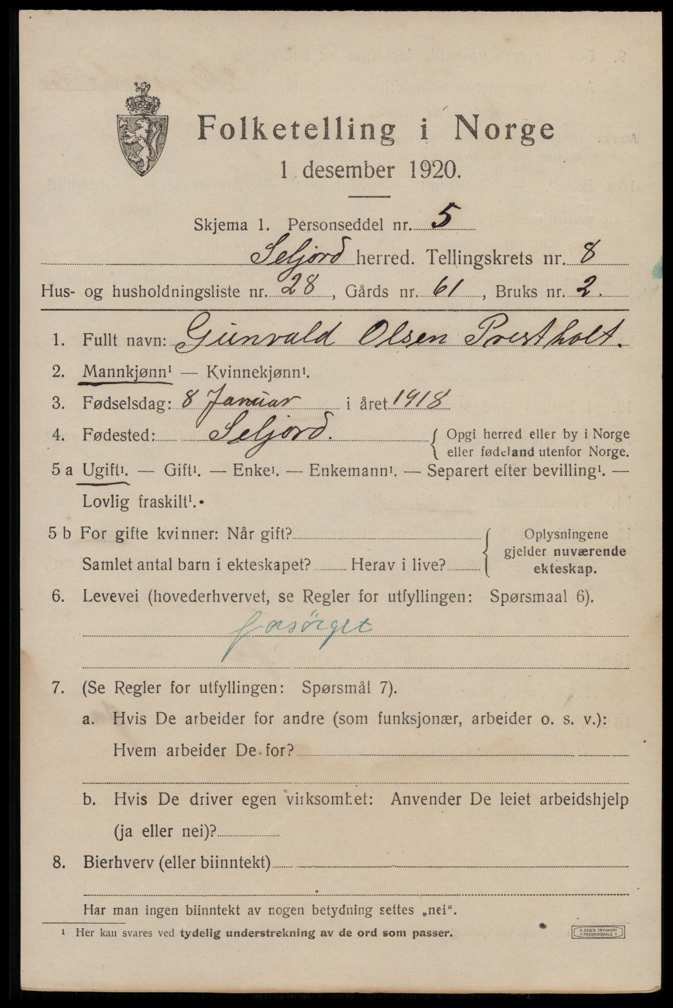 SAKO, 1920 census for Seljord, 1920, p. 4192