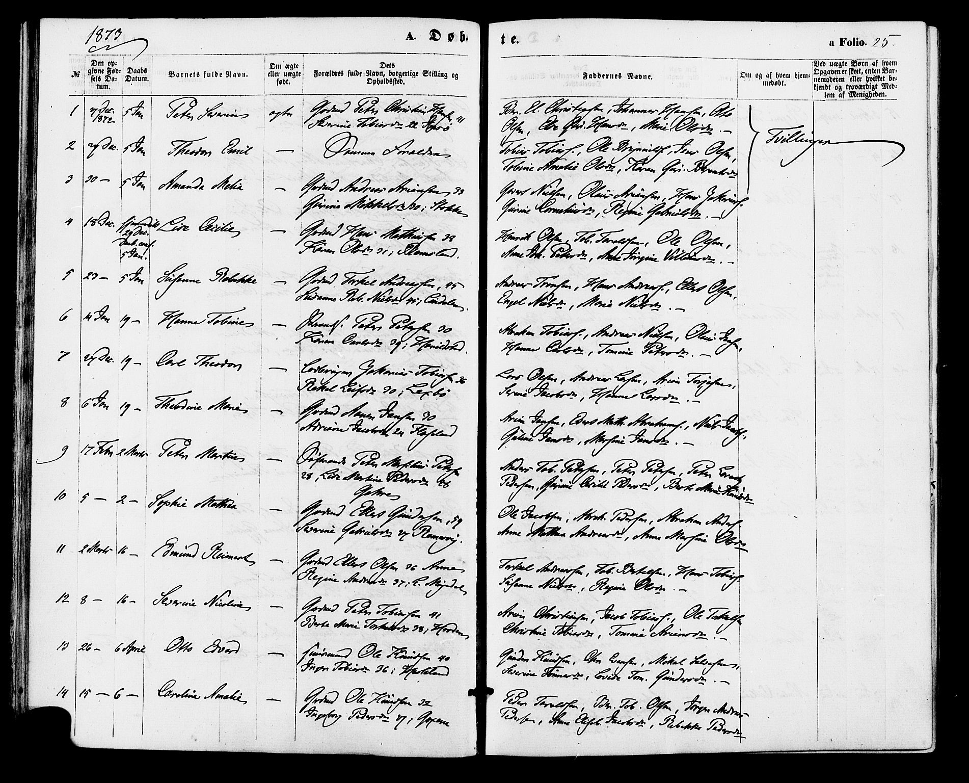 Sør-Audnedal sokneprestkontor, AV/SAK-1111-0039/F/Fa/Faa/L0003: Parish register (official) no. A 3, 1868-1883, p. 25