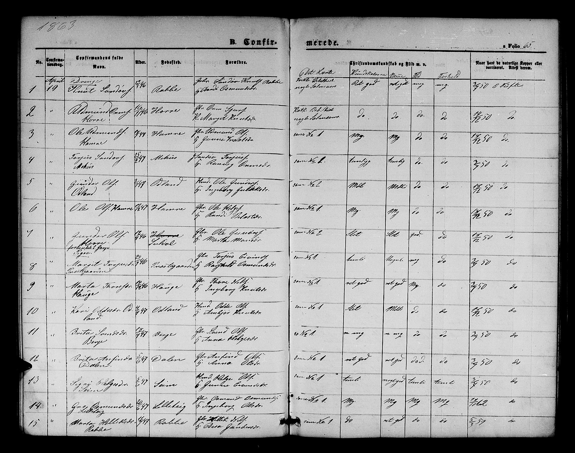 Røldal sokneprestembete, SAB/A-100247: Parish register (copy) no. A 2, 1861-1886, p. 65