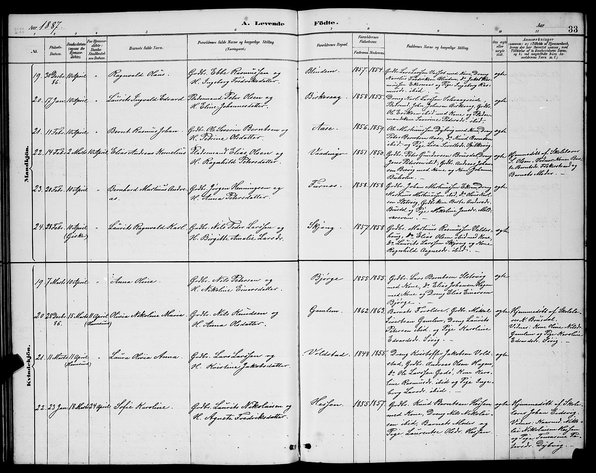 Ministerialprotokoller, klokkerbøker og fødselsregistre - Møre og Romsdal, AV/SAT-A-1454/528/L0431: Parish register (copy) no. 528C12, 1885-1898, p. 33