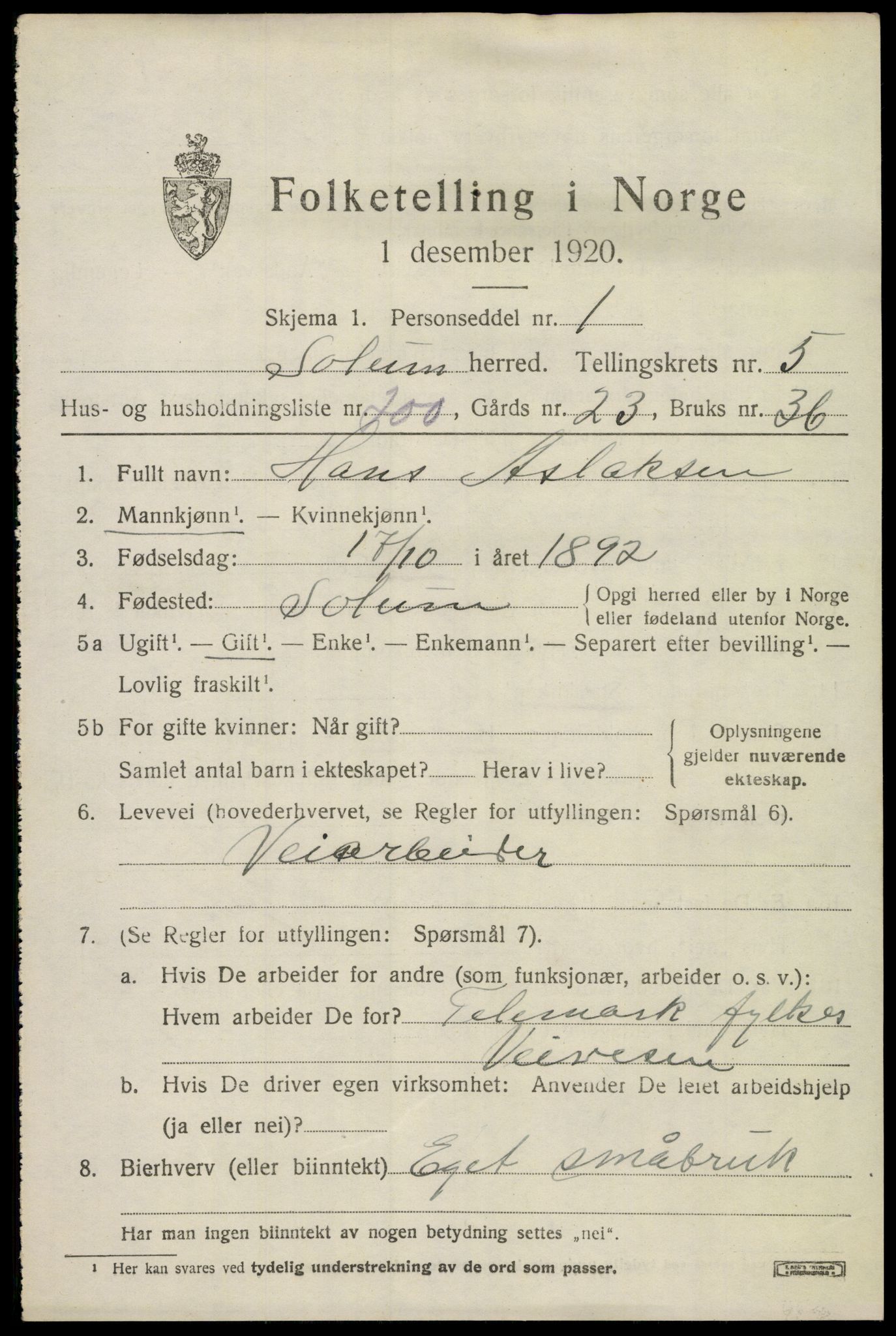 SAKO, 1920 census for Solum, 1920, p. 13162