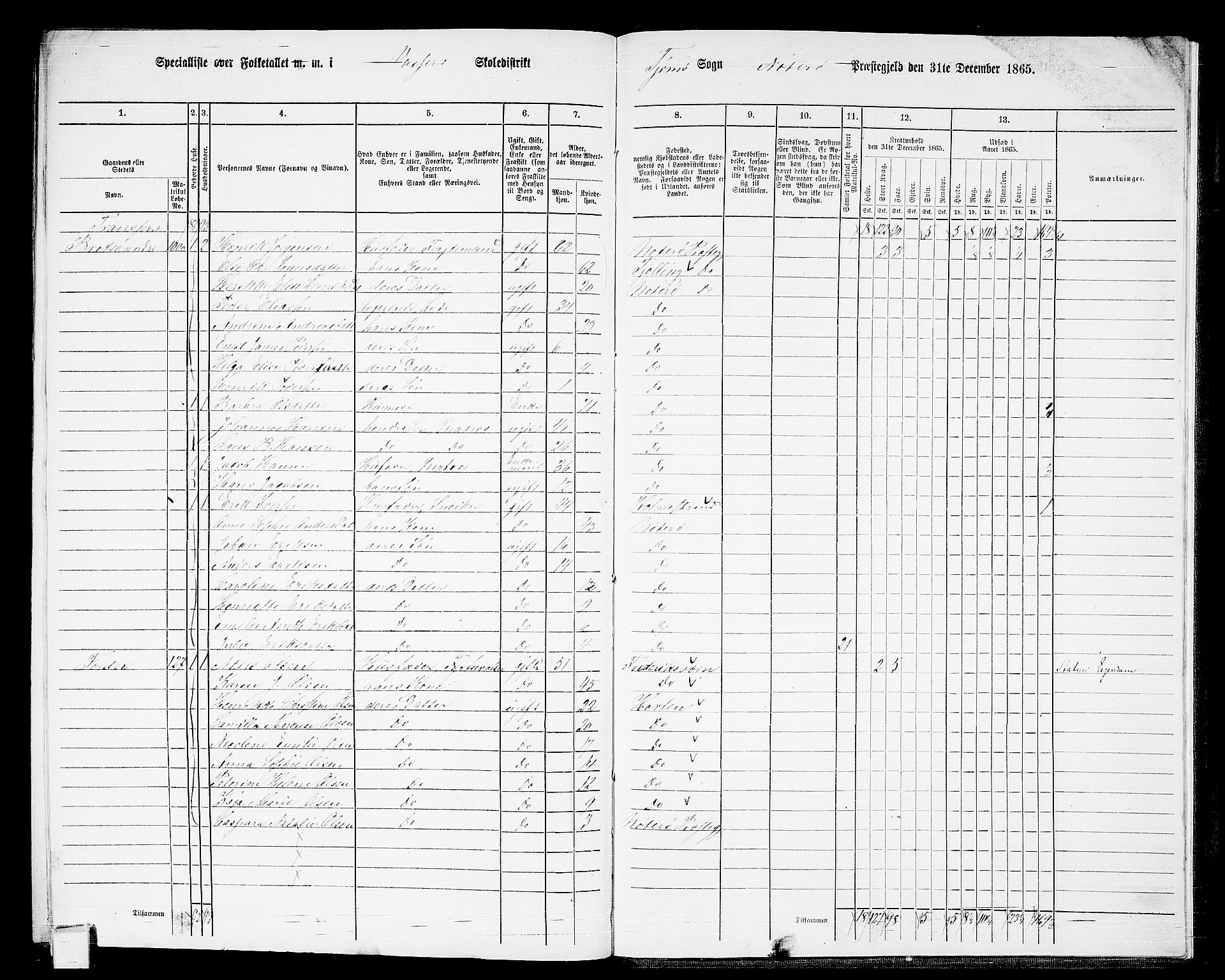 RA, 1865 census for Nøtterøy, 1865, p. 306