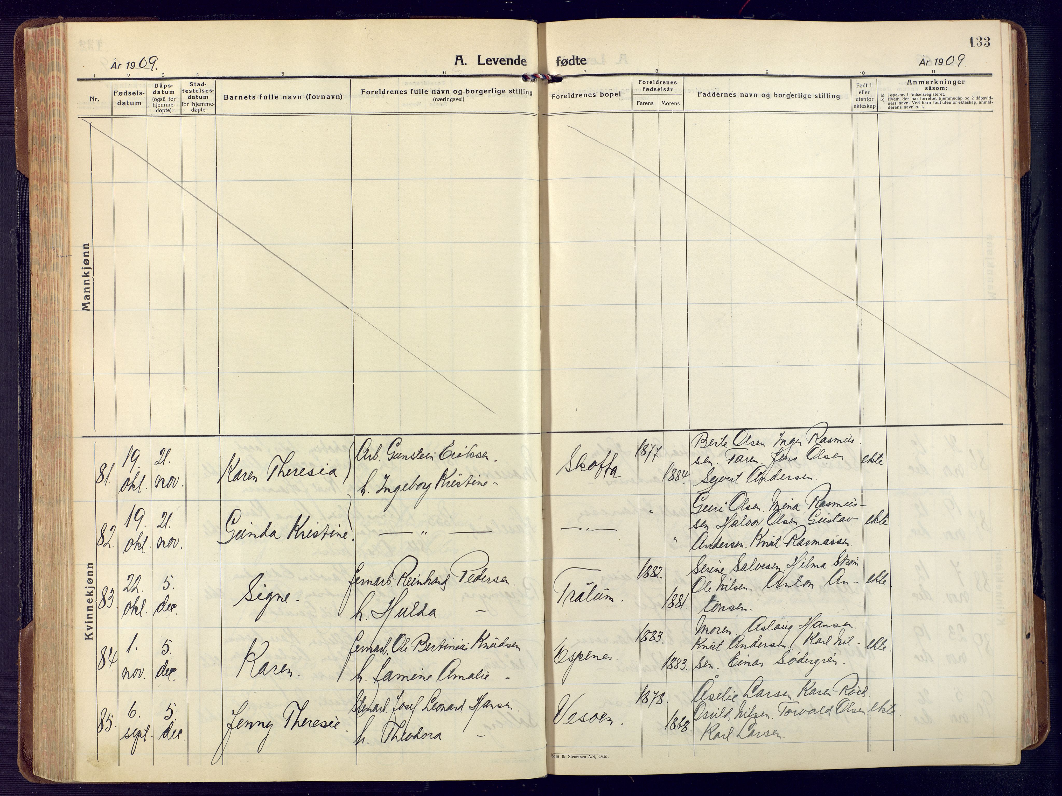 Fjære sokneprestkontor, AV/SAK-1111-0011/F/Fa/L0004: Parish register (official) no. A 4, 1902-1925, p. 133