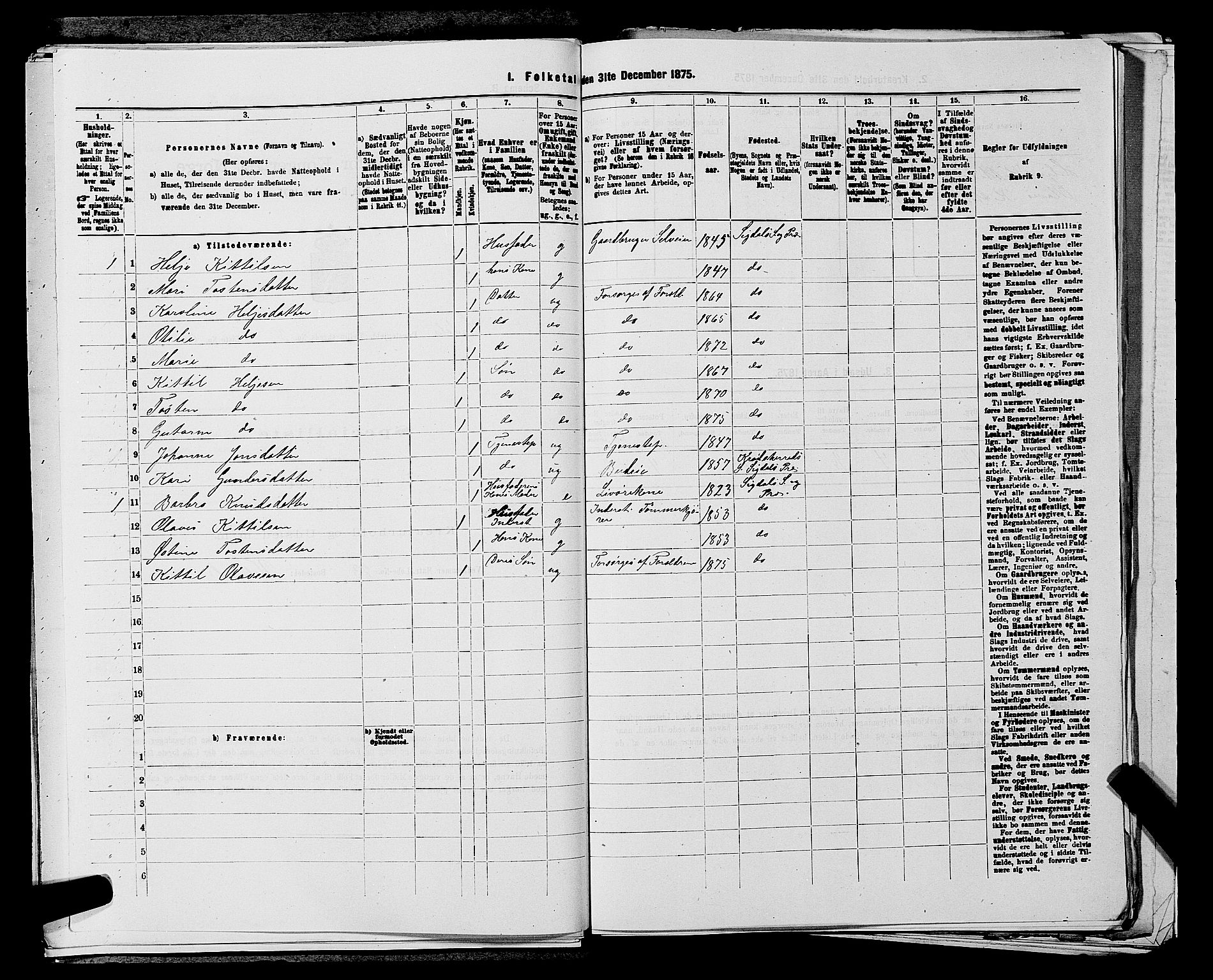 SAKO, 1875 census for 0621P Sigdal, 1875, p. 557