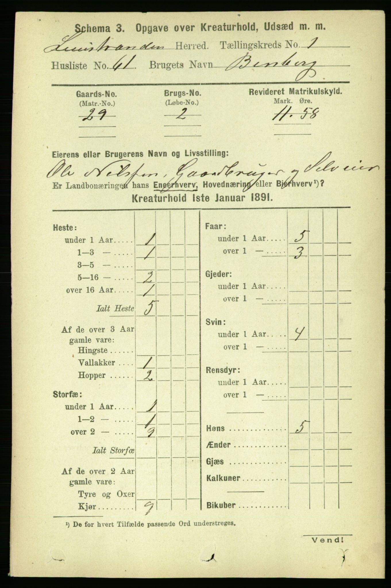 RA, 1891 census for 1654 Leinstrand, 1891, p. 1529