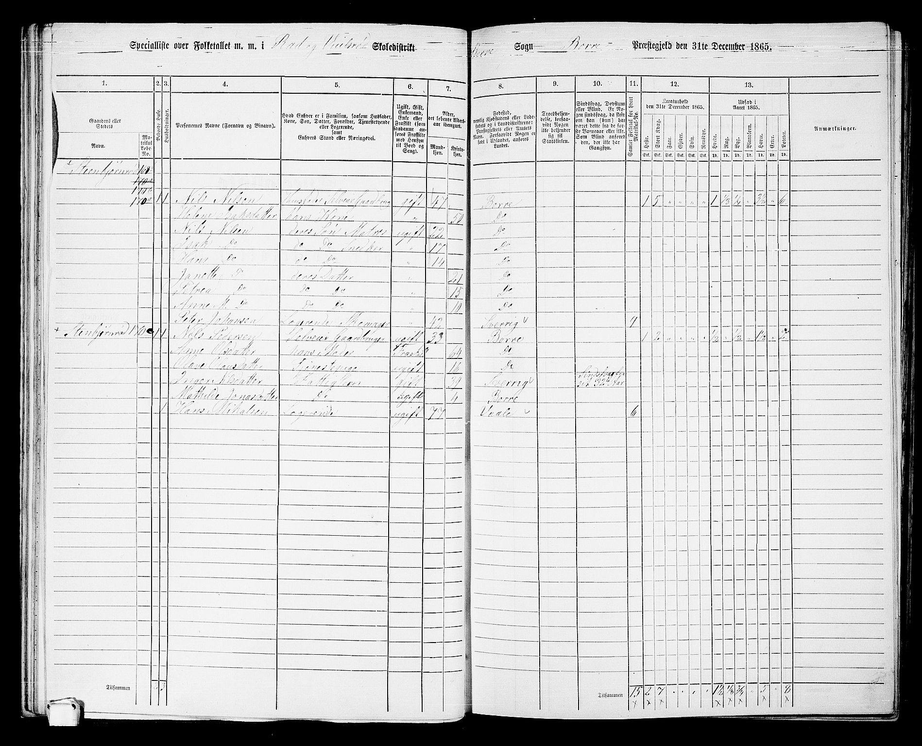 RA, 1865 census for Borre, 1865, p. 61