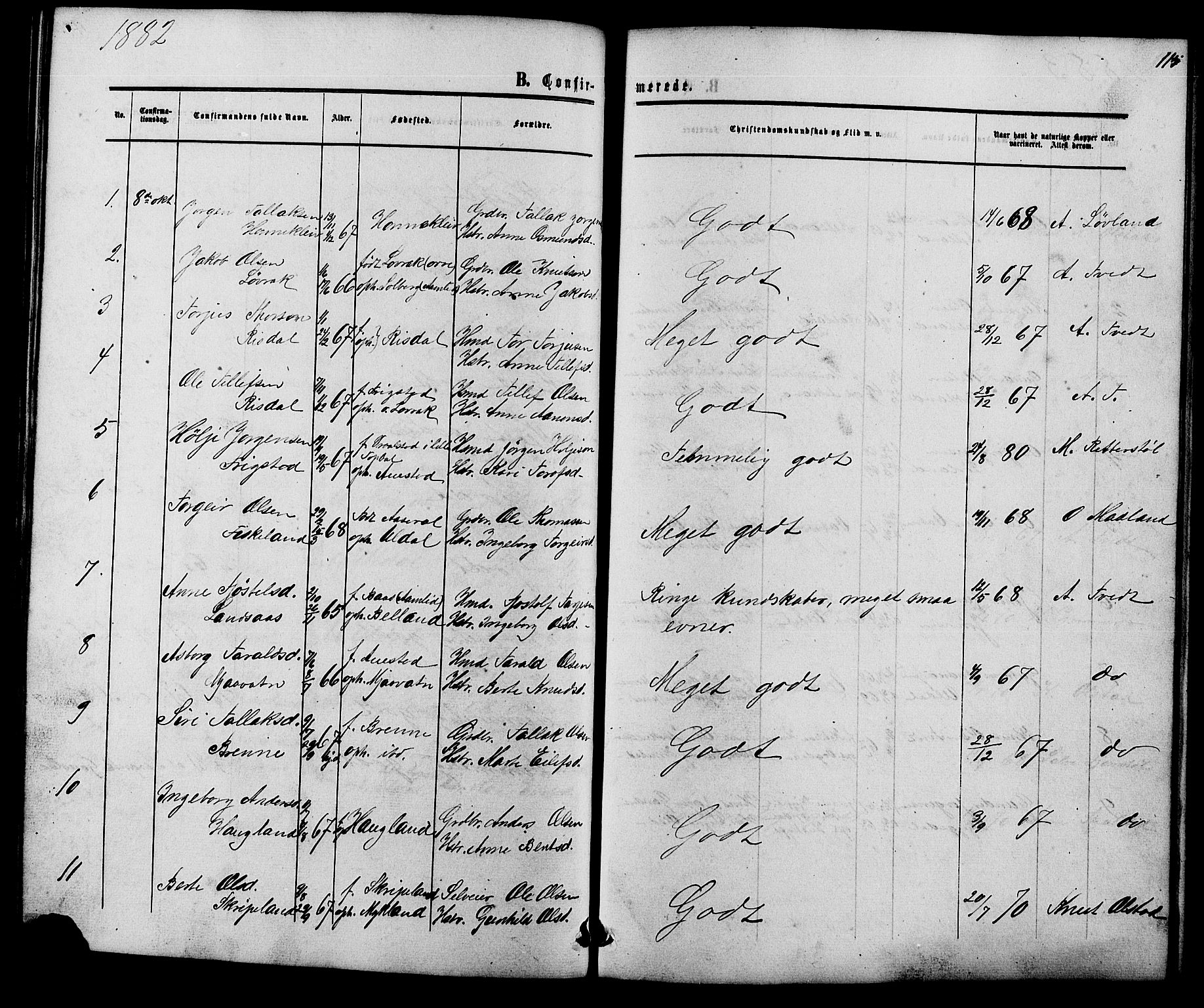 Herefoss sokneprestkontor, AV/SAK-1111-0019/F/Fb/Fbc/L0002: Parish register (copy) no. B 2, 1867-1886, p. 115