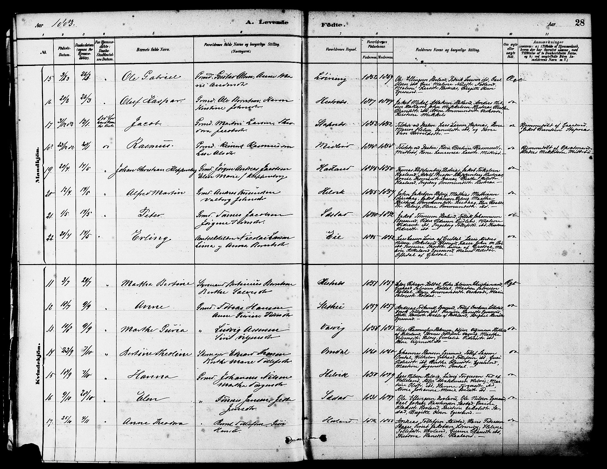 Eigersund sokneprestkontor, AV/SAST-A-101807/S08/L0017: Parish register (official) no. A 14, 1879-1892, p. 28