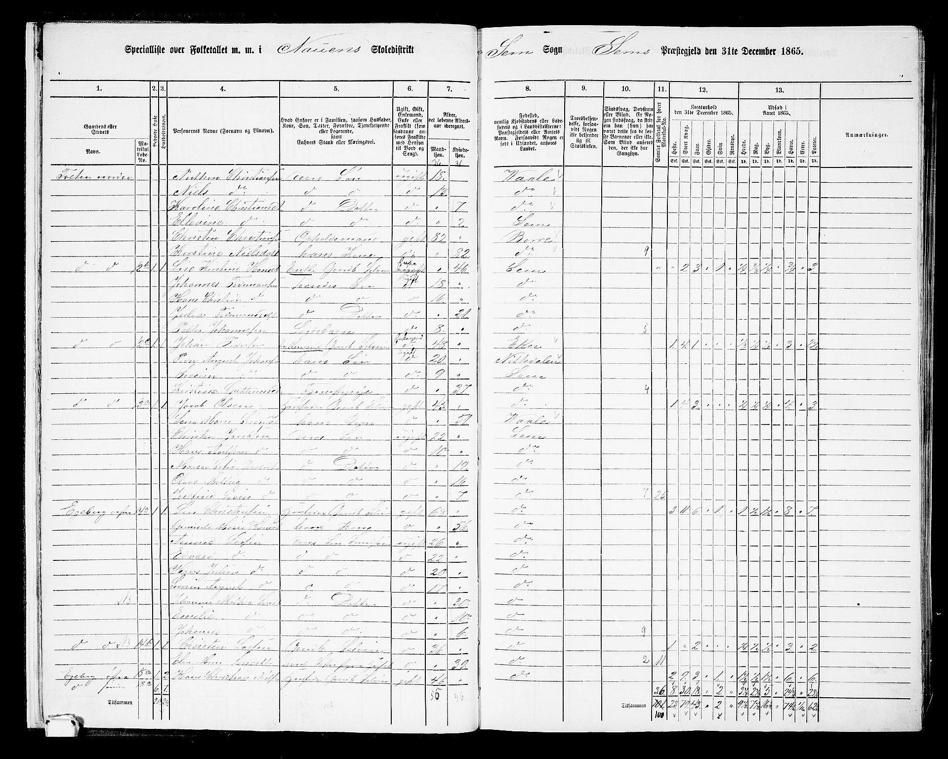 RA, 1865 census for Sem, 1865, p. 17