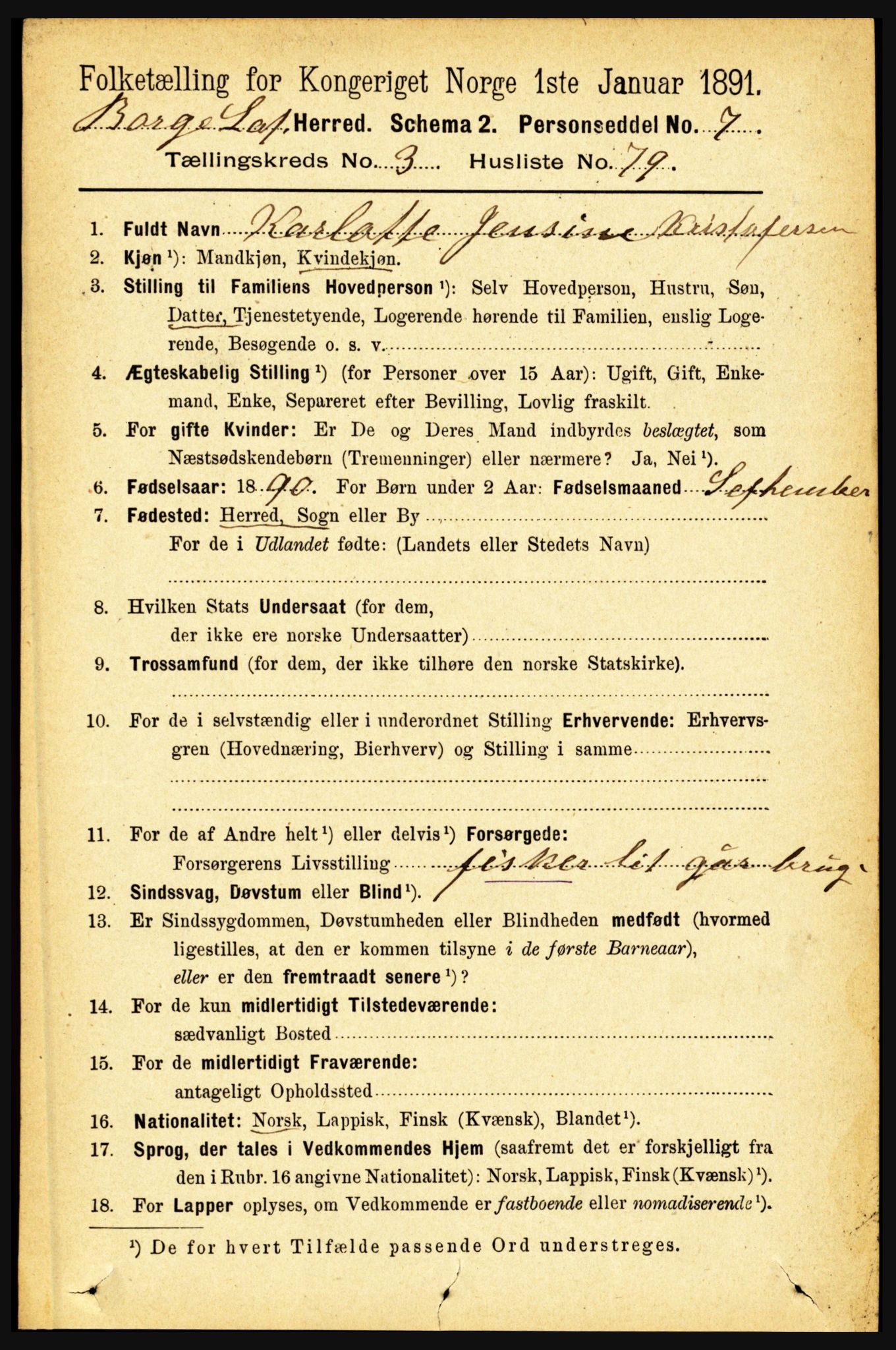 RA, 1891 census for 1862 Borge, 1891, p. 2010