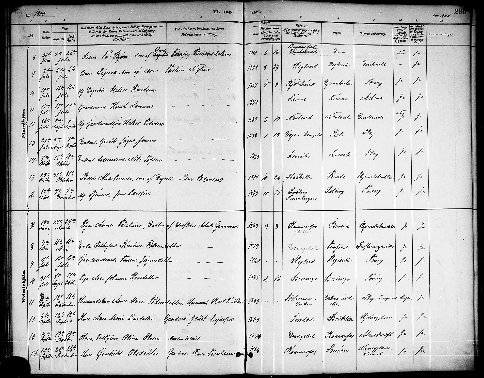 Sannidal kirkebøker, AV/SAKO-A-296/G/Ga/L0003: Parish register (copy) no. 3, 1887-1922, p. 236