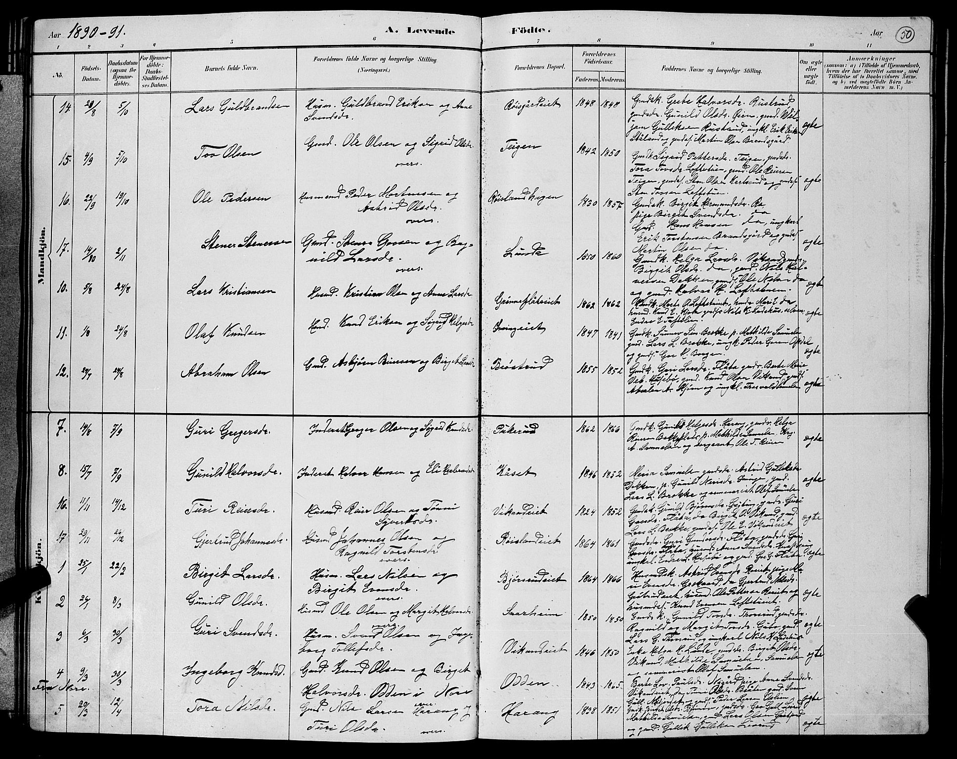 Nore kirkebøker, AV/SAKO-A-238/G/Gb/L0002: Parish register (copy) no. II 2, 1878-1894, p. 50