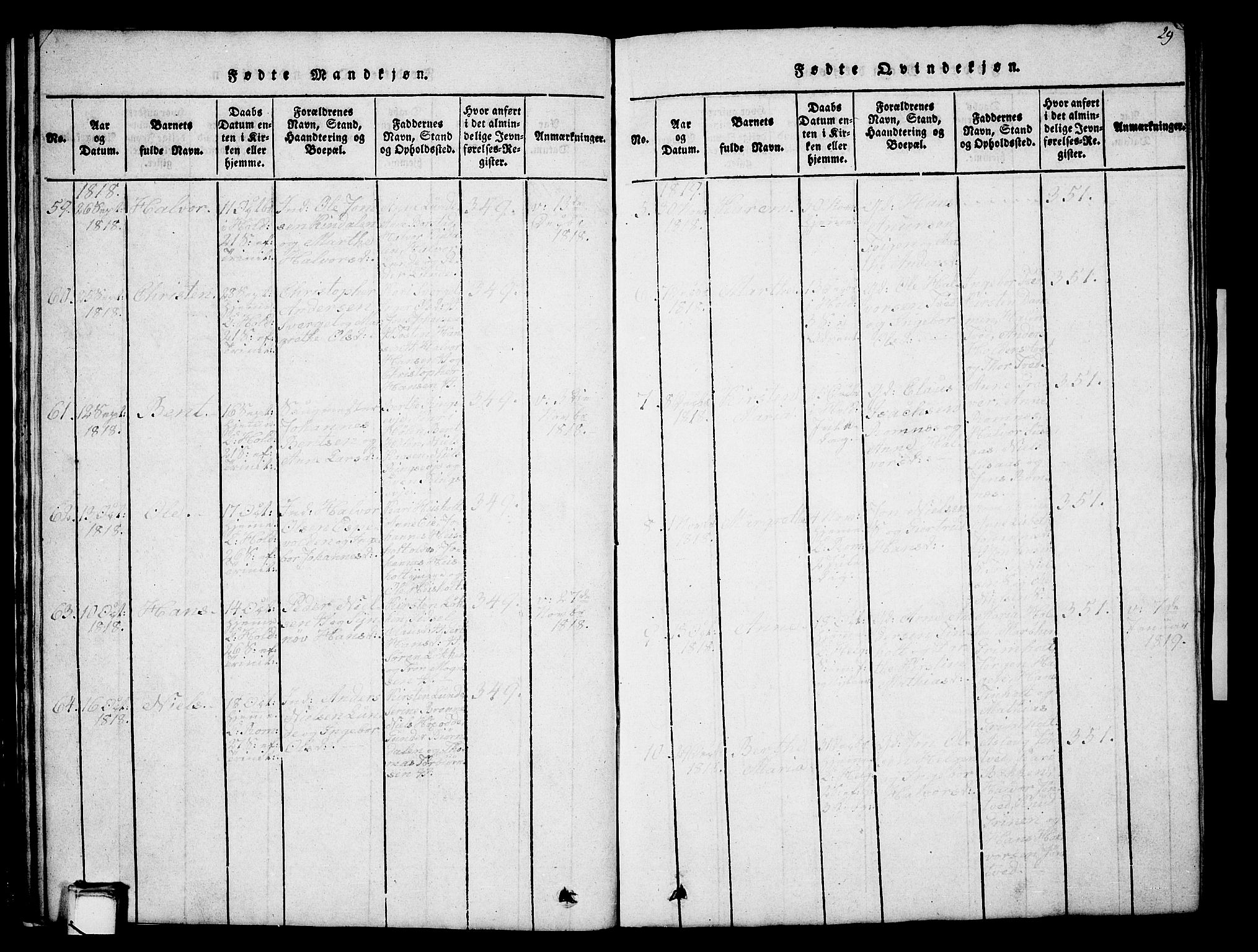 Holla kirkebøker, AV/SAKO-A-272/G/Ga/L0001: Parish register (copy) no. I 1, 1814-1830, p. 29