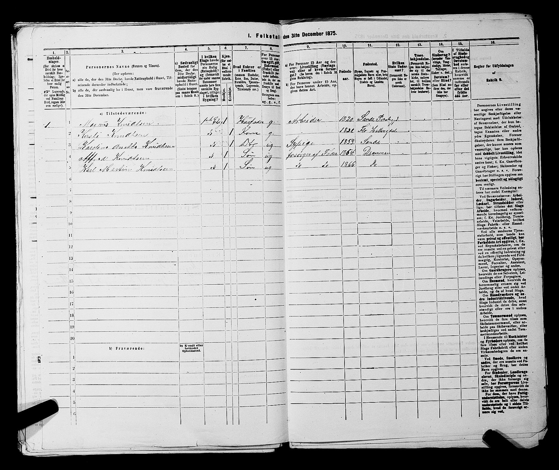 SAKO, 1875 census for 0602 Drammen, 1875, p. 2363