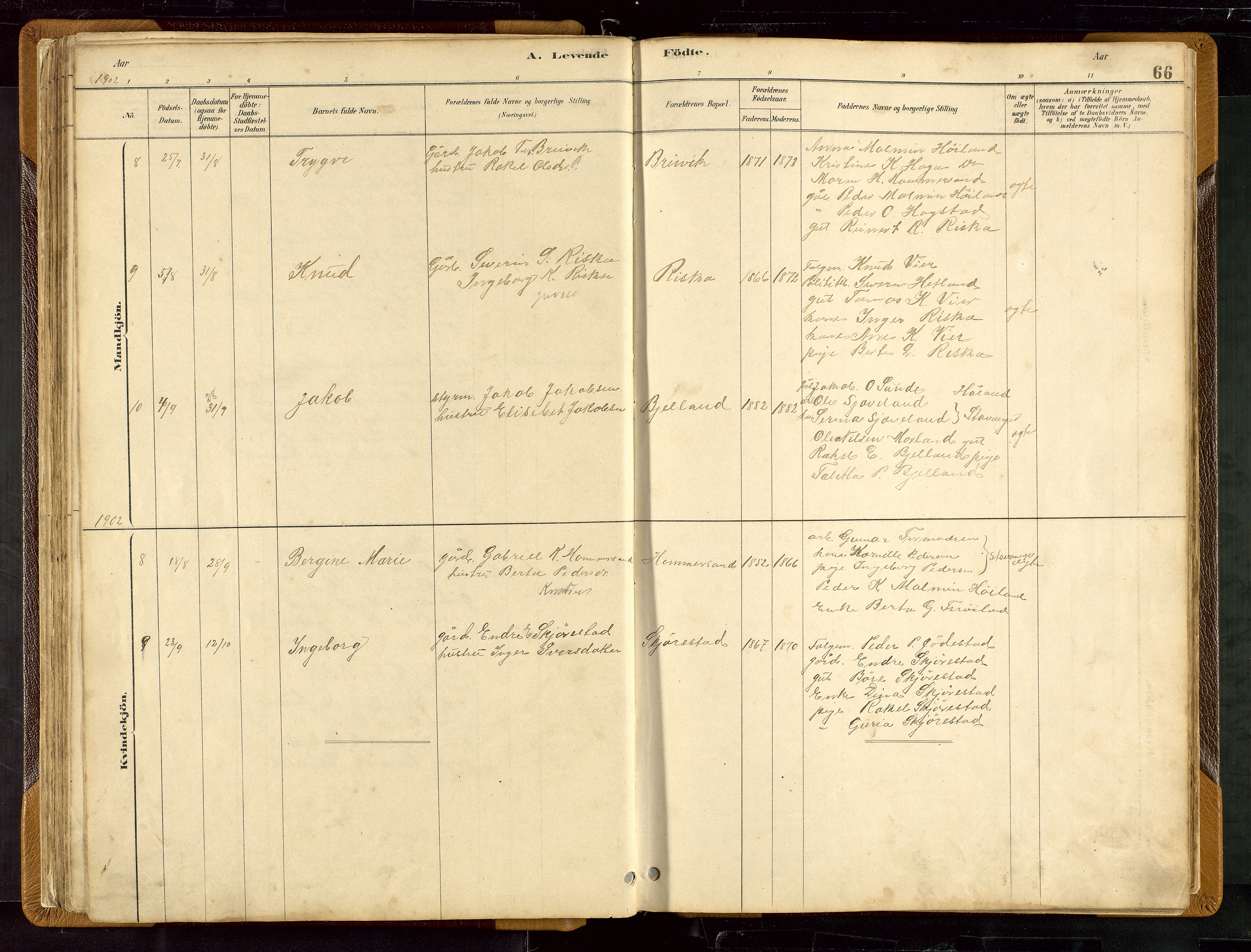 Hetland sokneprestkontor, AV/SAST-A-101826/30/30BB/L0007: Parish register (copy) no. B 7, 1878-1910, p. 66