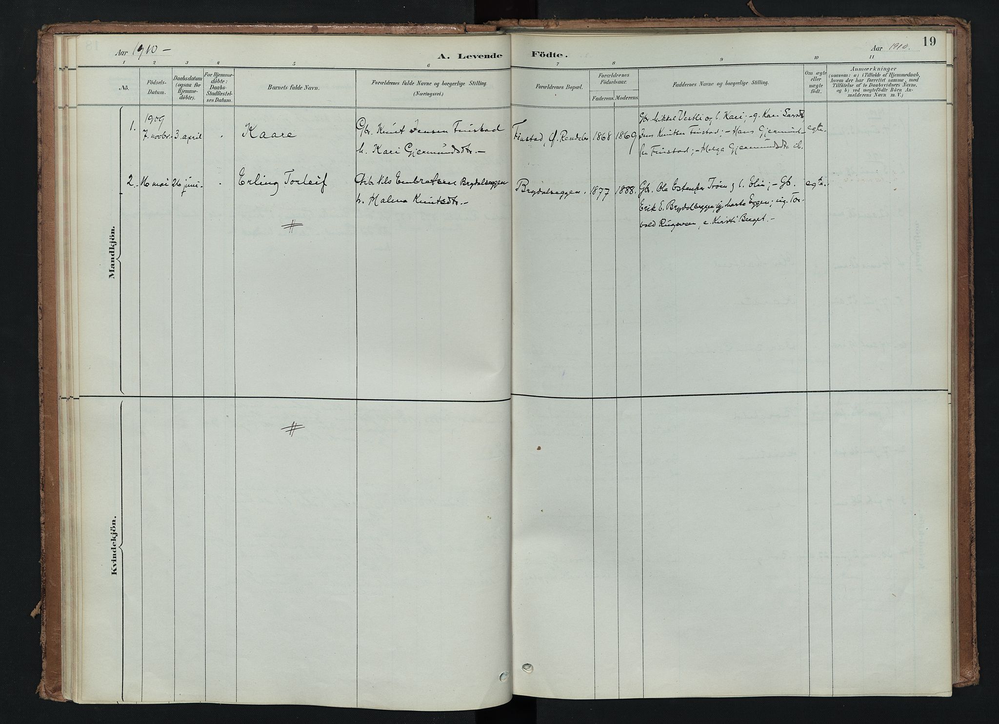 Tynset prestekontor, SAH/PREST-058/H/Ha/Haa/L0024: Parish register (official) no. 24, 1885-1916, p. 19