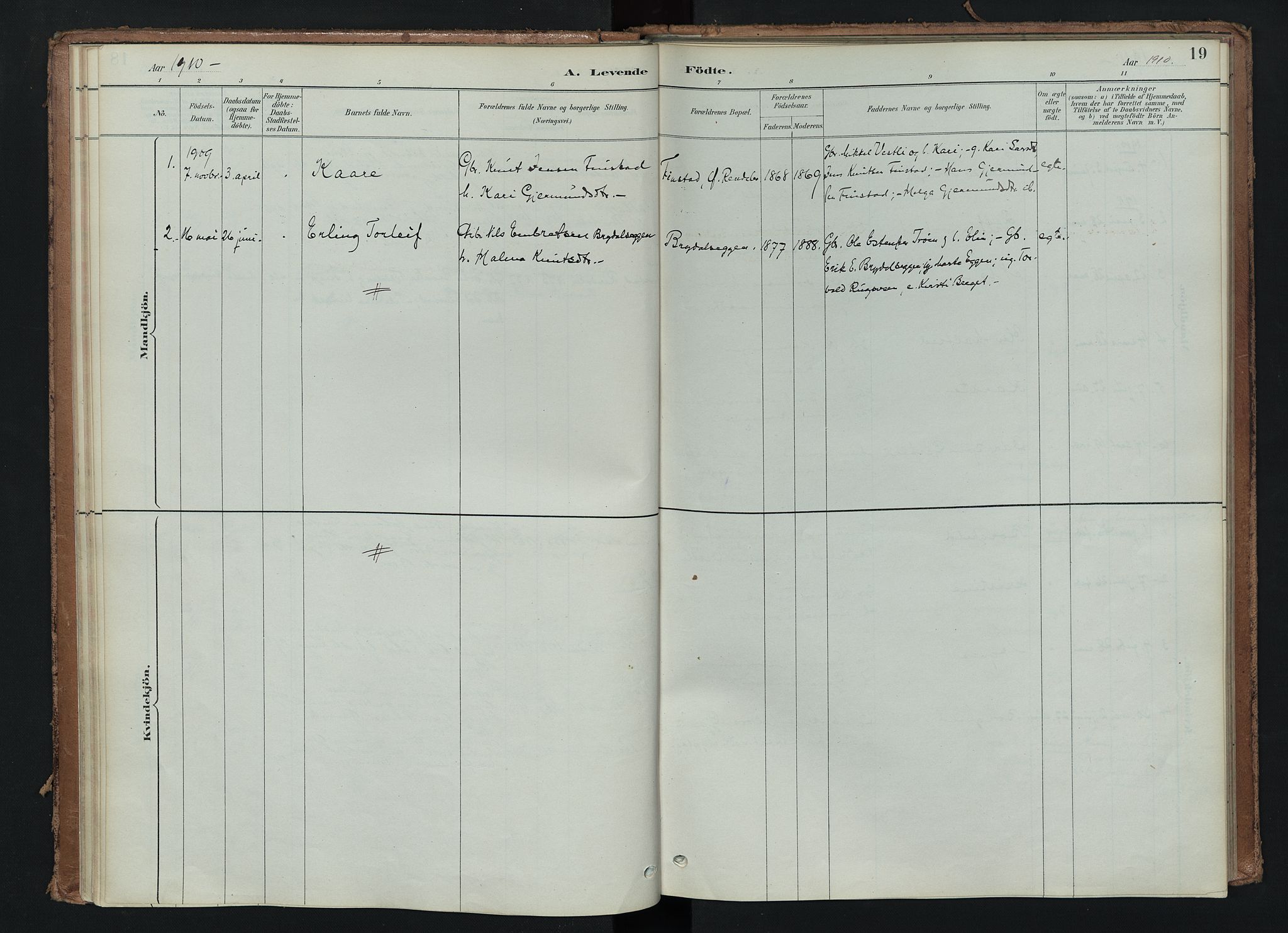 Tynset prestekontor, AV/SAH-PREST-058/H/Ha/Haa/L0024: Parish register (official) no. 24, 1885-1916, p. 19